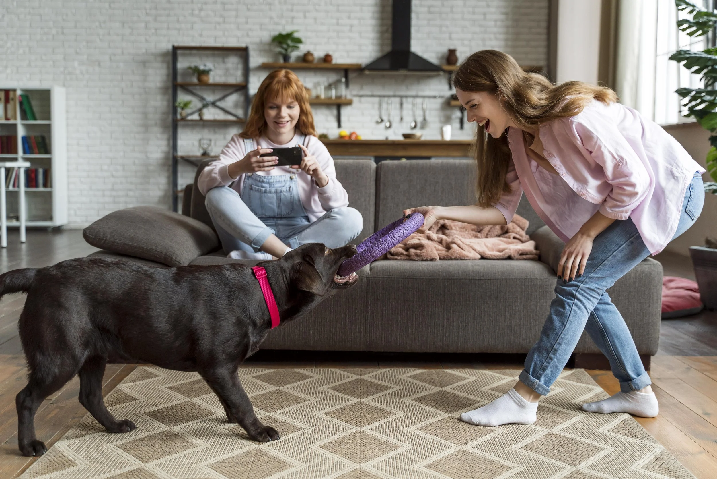 full-shot-women-dog-playing-game.jpg