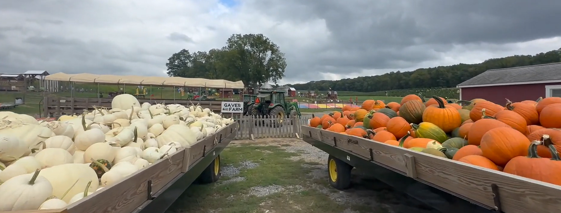 An Interview with Lisa Gaver and Laura Gaver House at the Gaver Farm