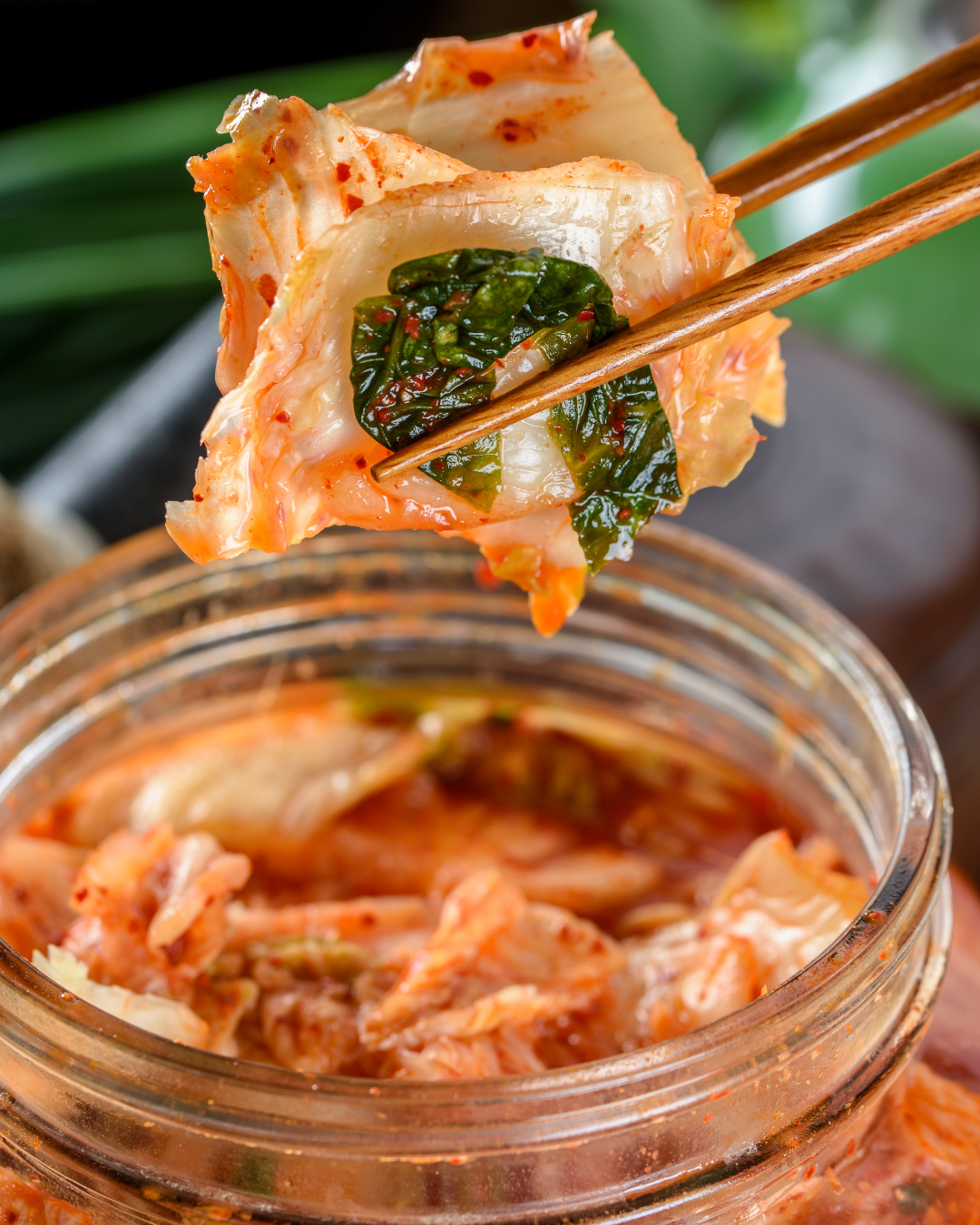 Close-up of kimchi with green leaves being held by chopsticks over a jar of kimchi.