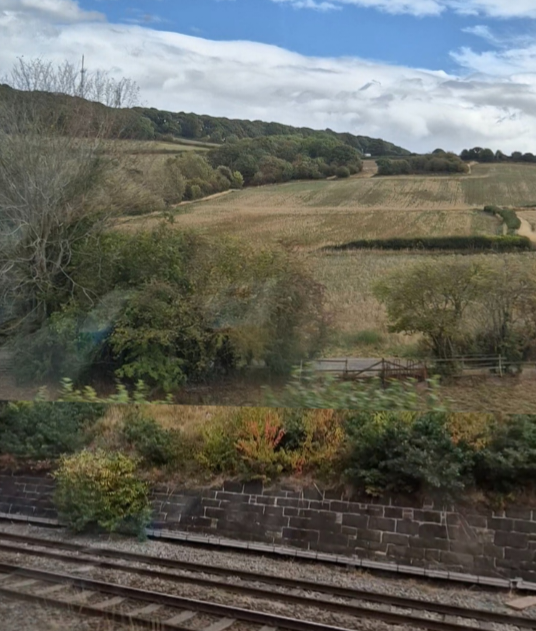 Untitled design_20251107_012834_0000.png