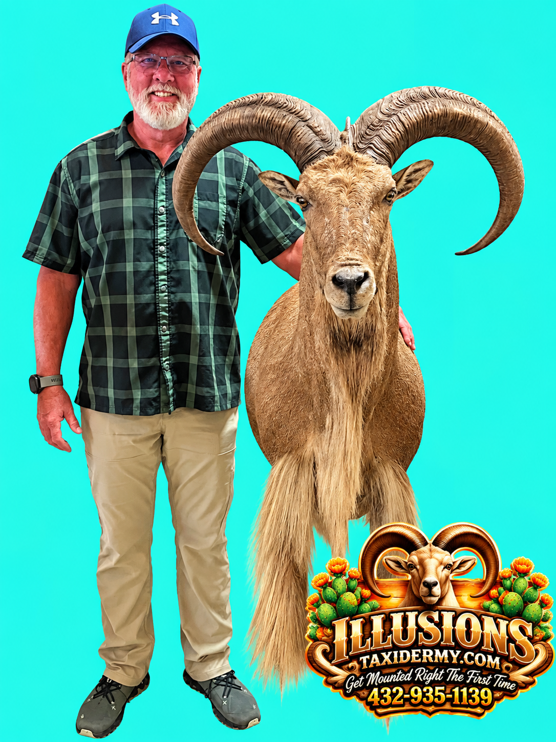 Large Aoudad ram taxidermy mount displayed beside a man for size comparison. Features massive curved horns, a long natural beard, and lifelike facial details. Custom Aoudad taxidermy by Illusions Taxidermy in Odessa, Texas. Midland Texas.