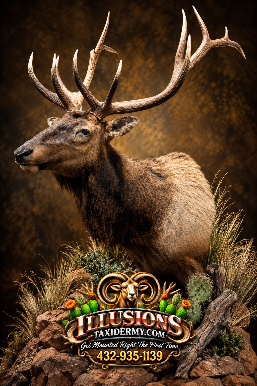 A mounted animal display featuring a large elk with impressive antlers, set against a dark, textured background. The display includes rocks, cacti, and desert plants, with a decorative sign at the base advertising Illusions Taxidermy with a ram's hea