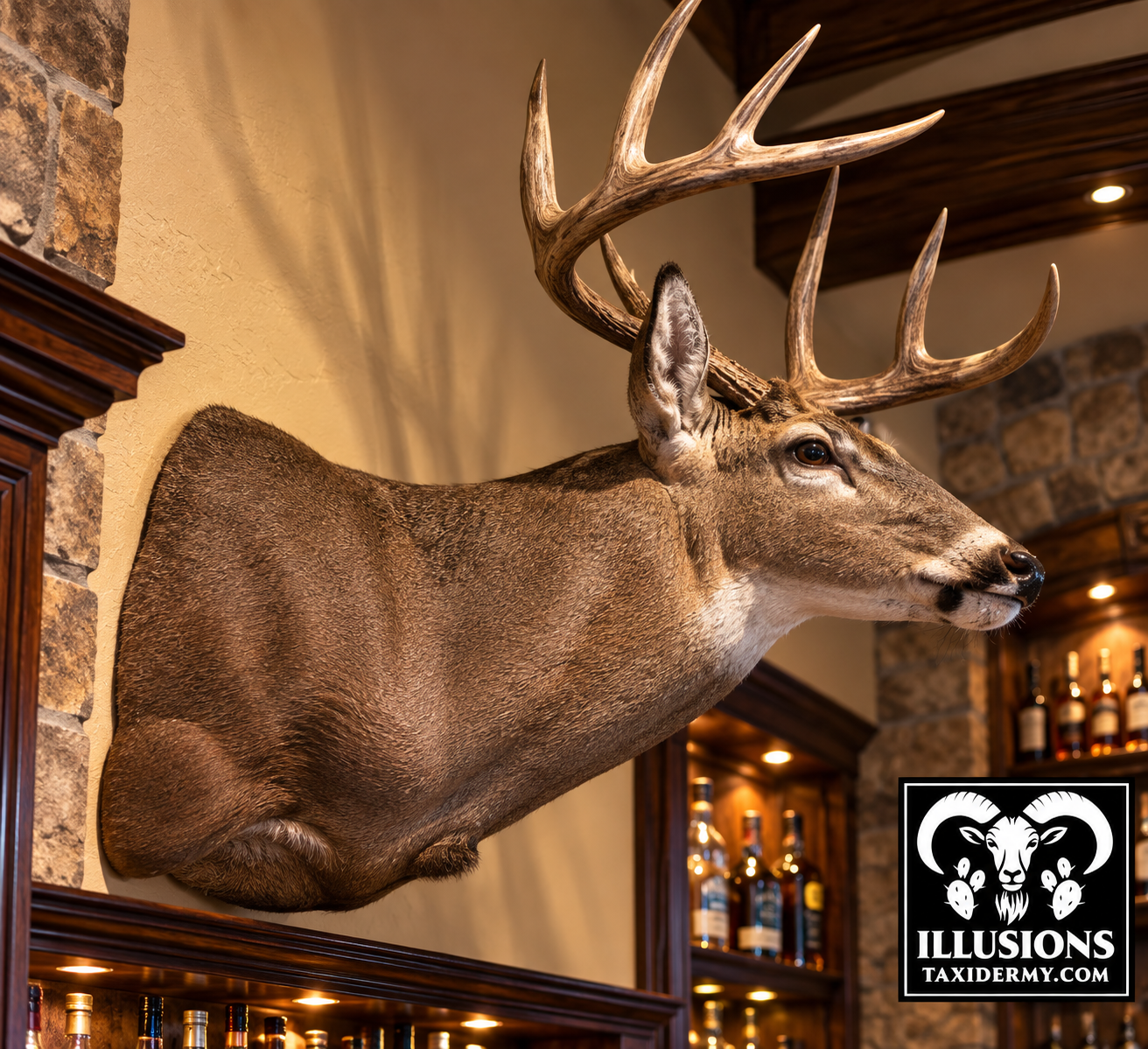 Mounted Whitetail deer head with large antlers displayed on a wall in a room with stone and wooden decor, with a logo for Illusions Taxidermy in the bottom right corner.
