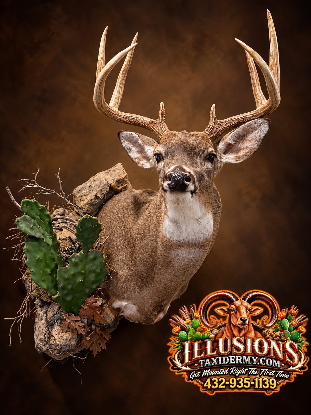 A taxidermied deer with large antlers, surrounded by desert plants and rocks, with branding for Illusions Taxidermy at the bottom.