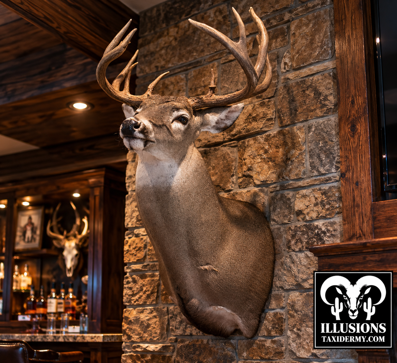 A mounted Whitetail deer head with antlers on a rustic stone wall in a bar or restaurant. The background shows bar shelves with liquor bottles and another mounted animal head. A logo for Illusions Taxidermy is at the bottom right corner.