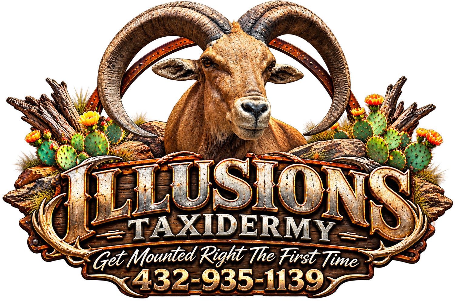 Illusions Taxidermy