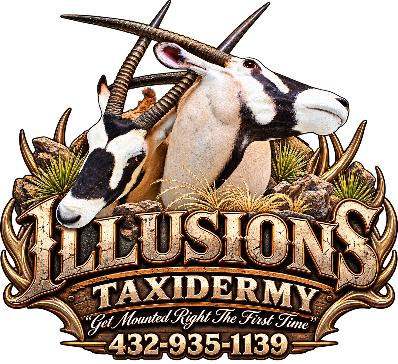 Illusions Taxidermy