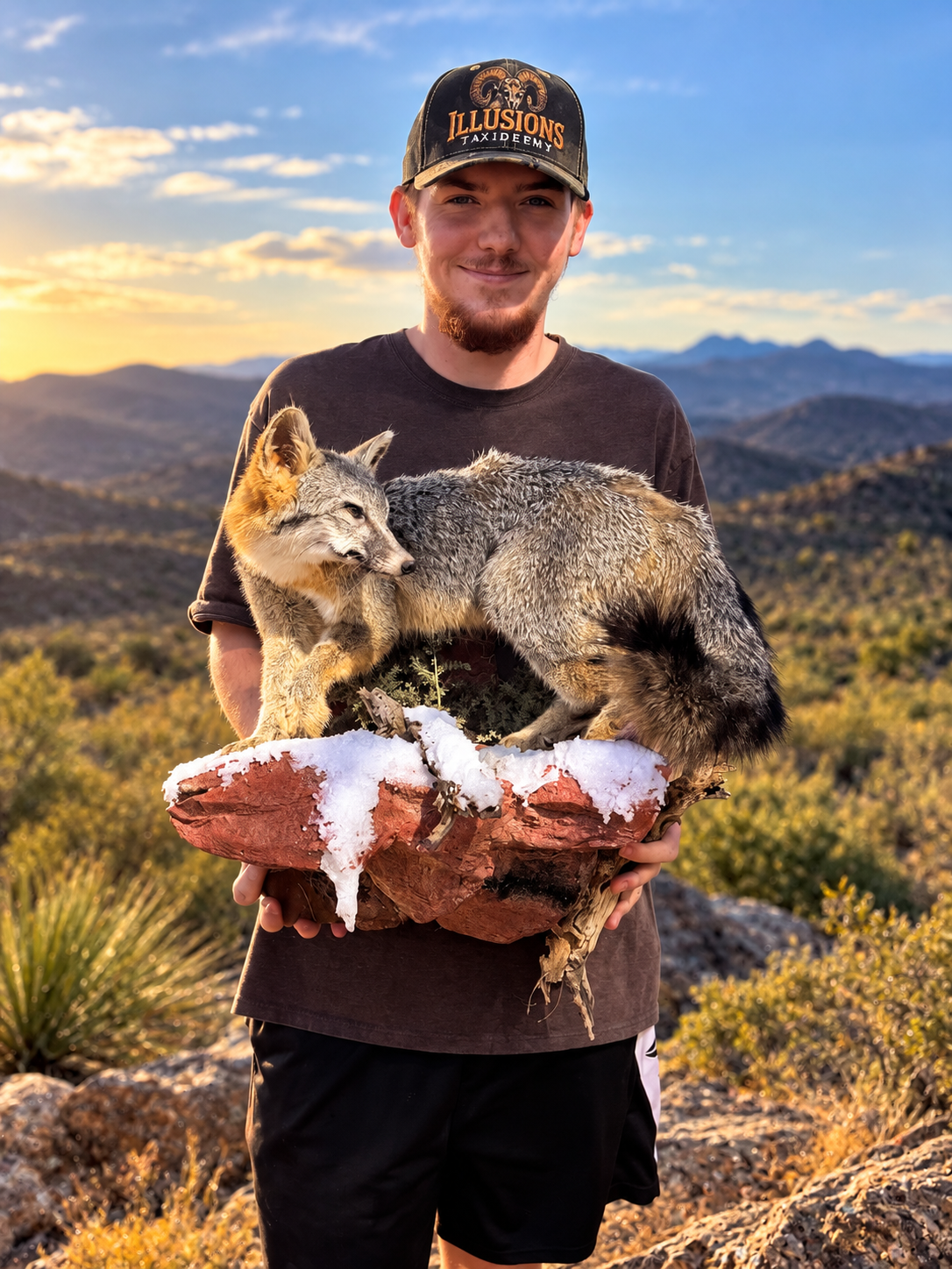 happy customer with a west Texas Grey Fox mount by Illusions Taxidermy.