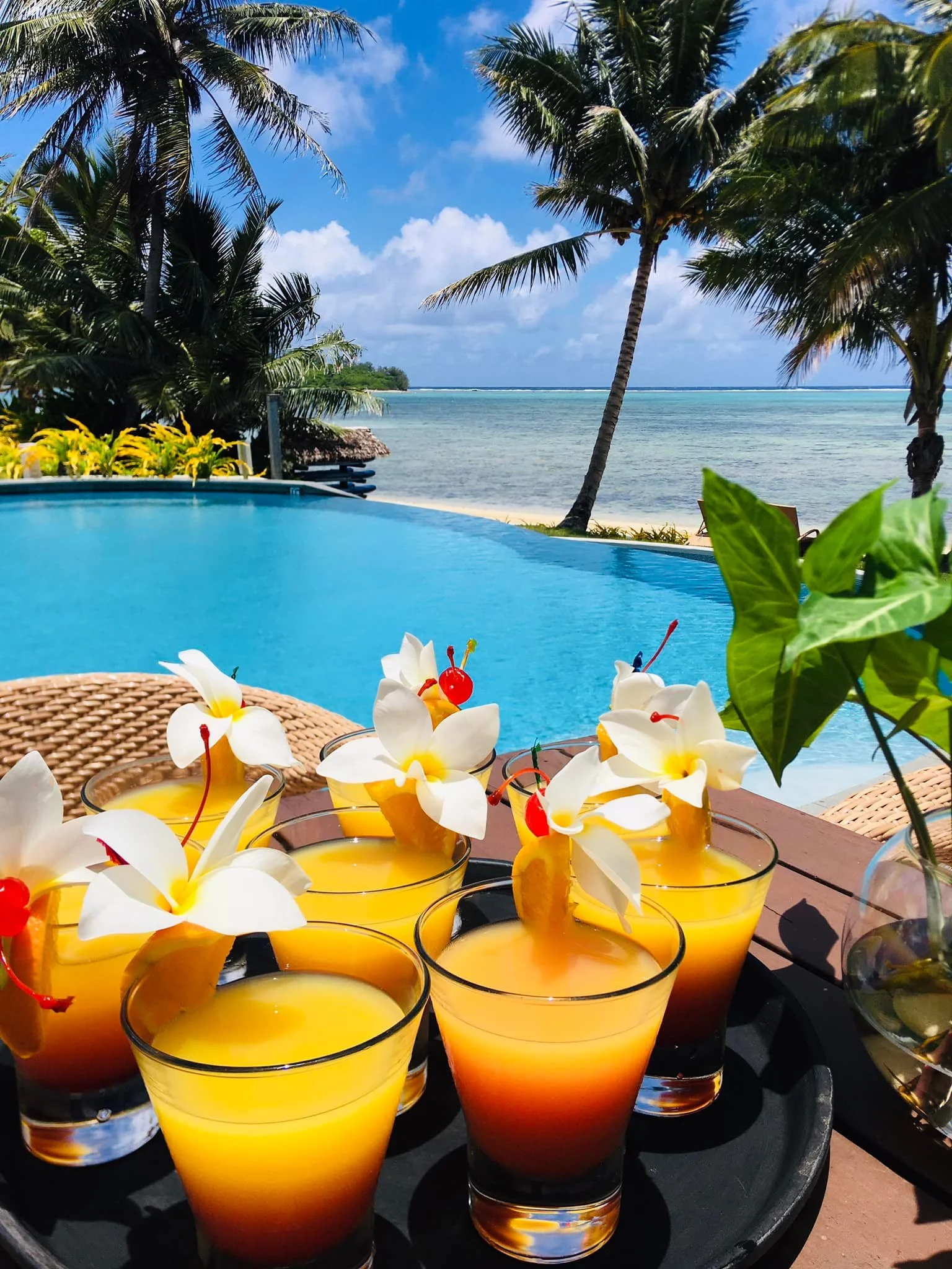 Tropical beach scene with a pool, palm trees, and ocean view. Foreground has cocktails with flowers and cherries on a table.