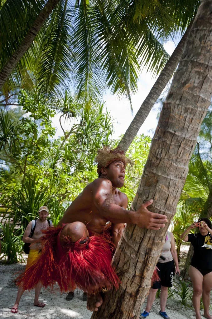 A man wearing traditional Polynesian attire, including a red grass skirt, climbs a palm tree with the help of others around him on a tropical beach surrounded by lush greenery.
