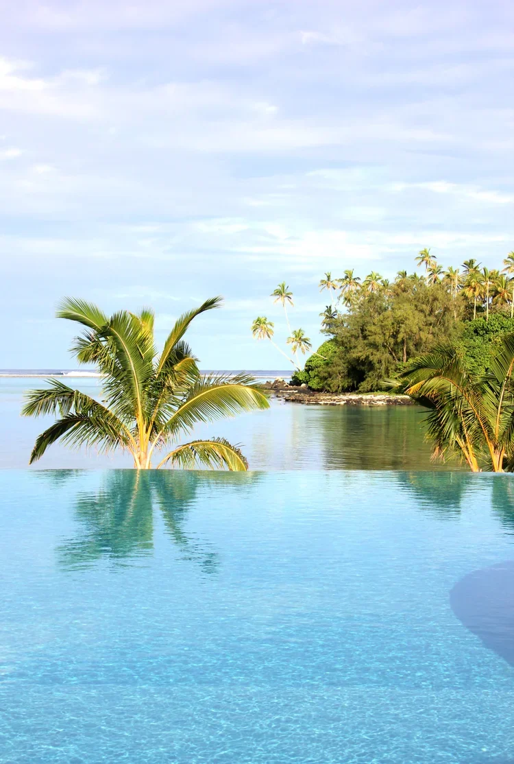 A scenic view of an infinity pool overlooking a tropical coastline with palm trees and lush greenery under a blue sky with light clouds.