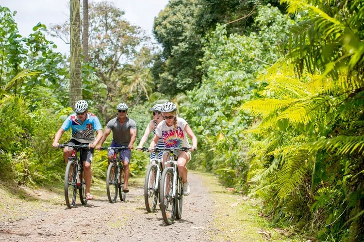 Four people riding bicycles on a dirt trail surrounded by dense green foliage.