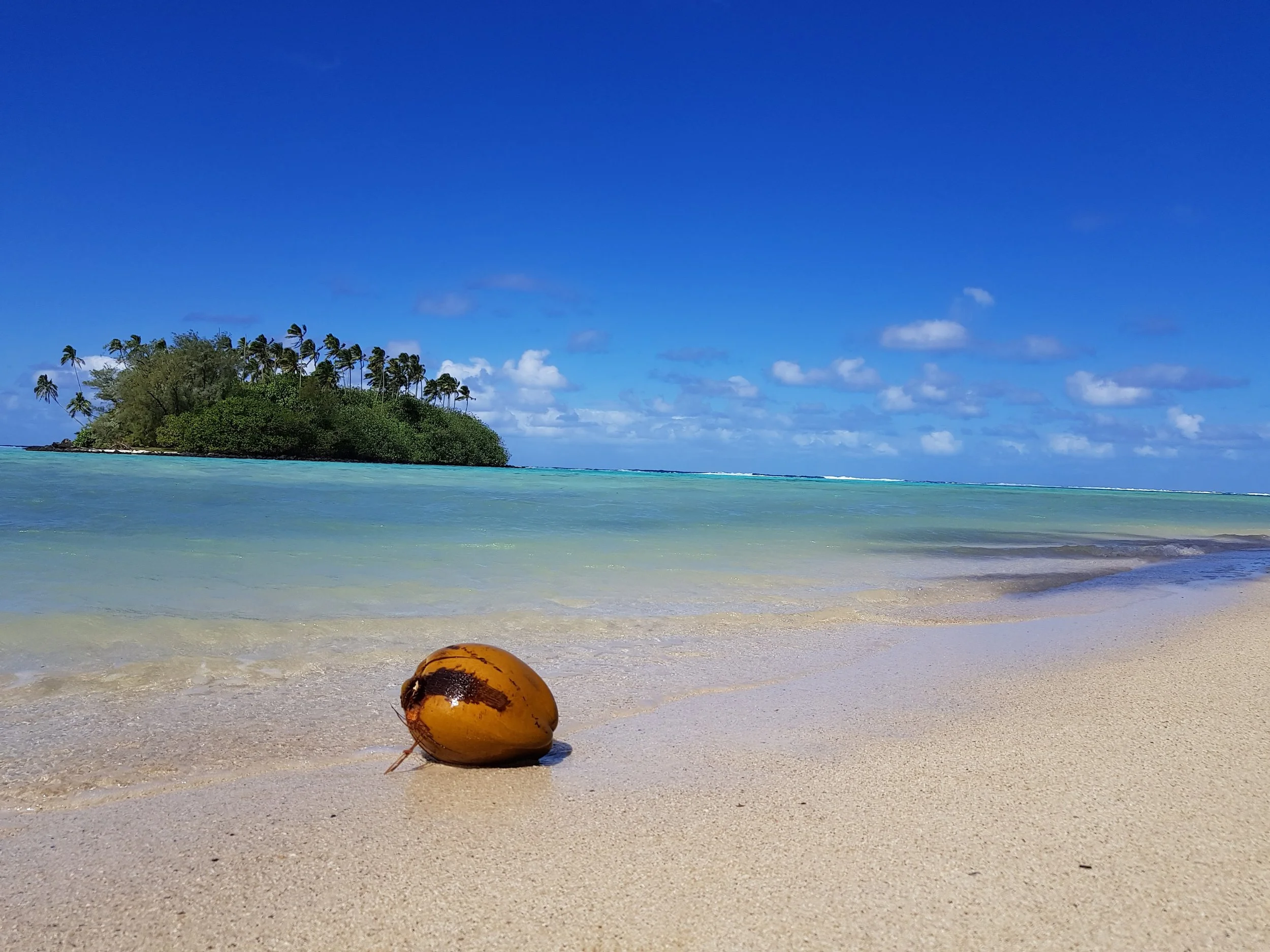 Tropical beach with a small island covered in palm trees in the distance, clear blue sky, turquoise ocean, and a coconut on the sandy shore in the foreground.