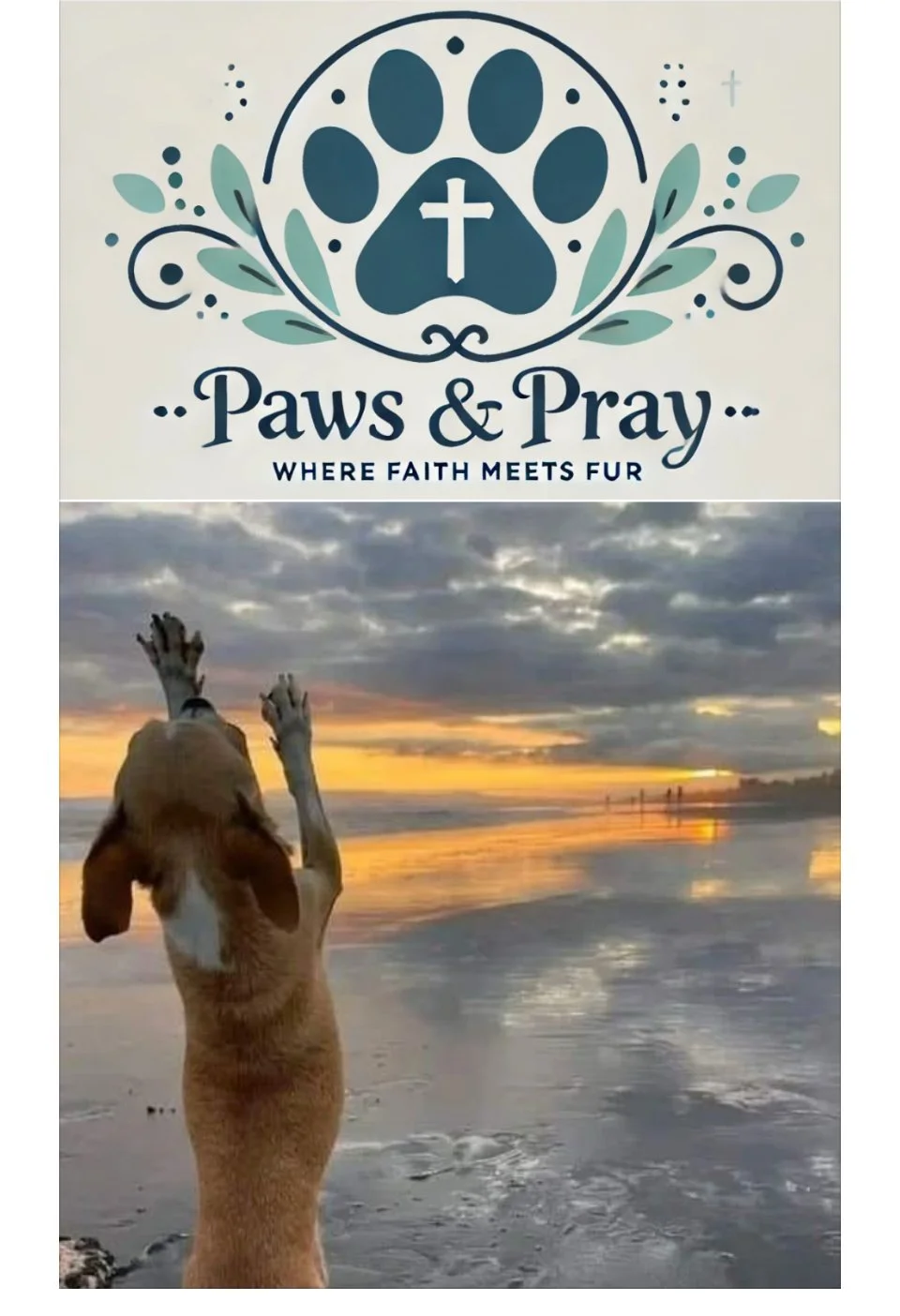 Paws &amp; Pray