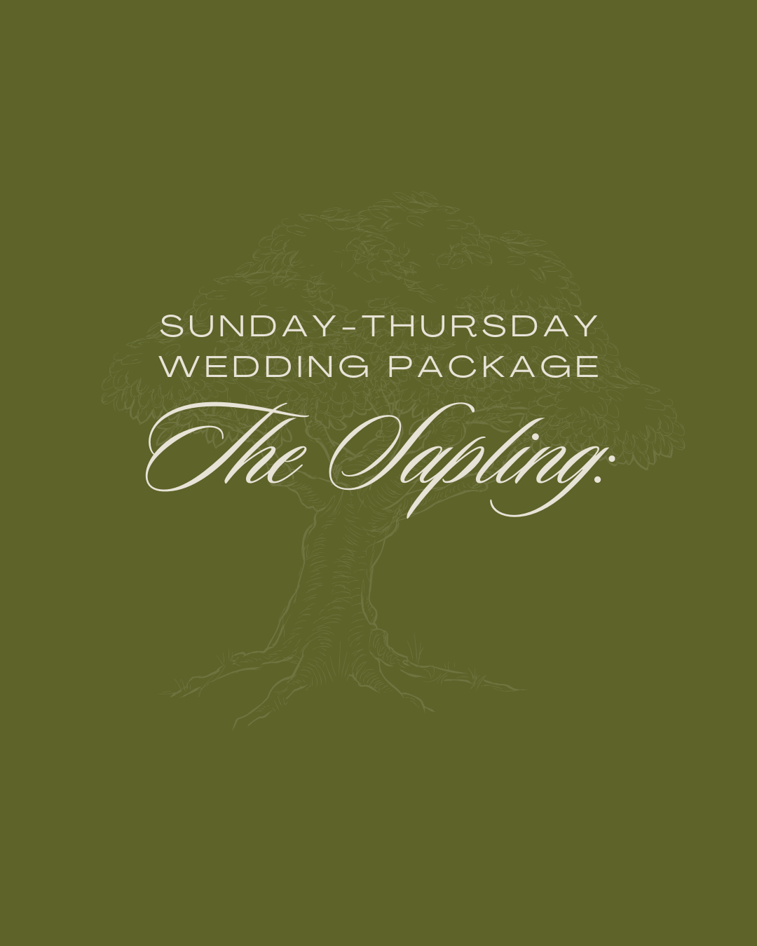 Green wedding package promotion with a faint illustration of a tree and elegant white text.