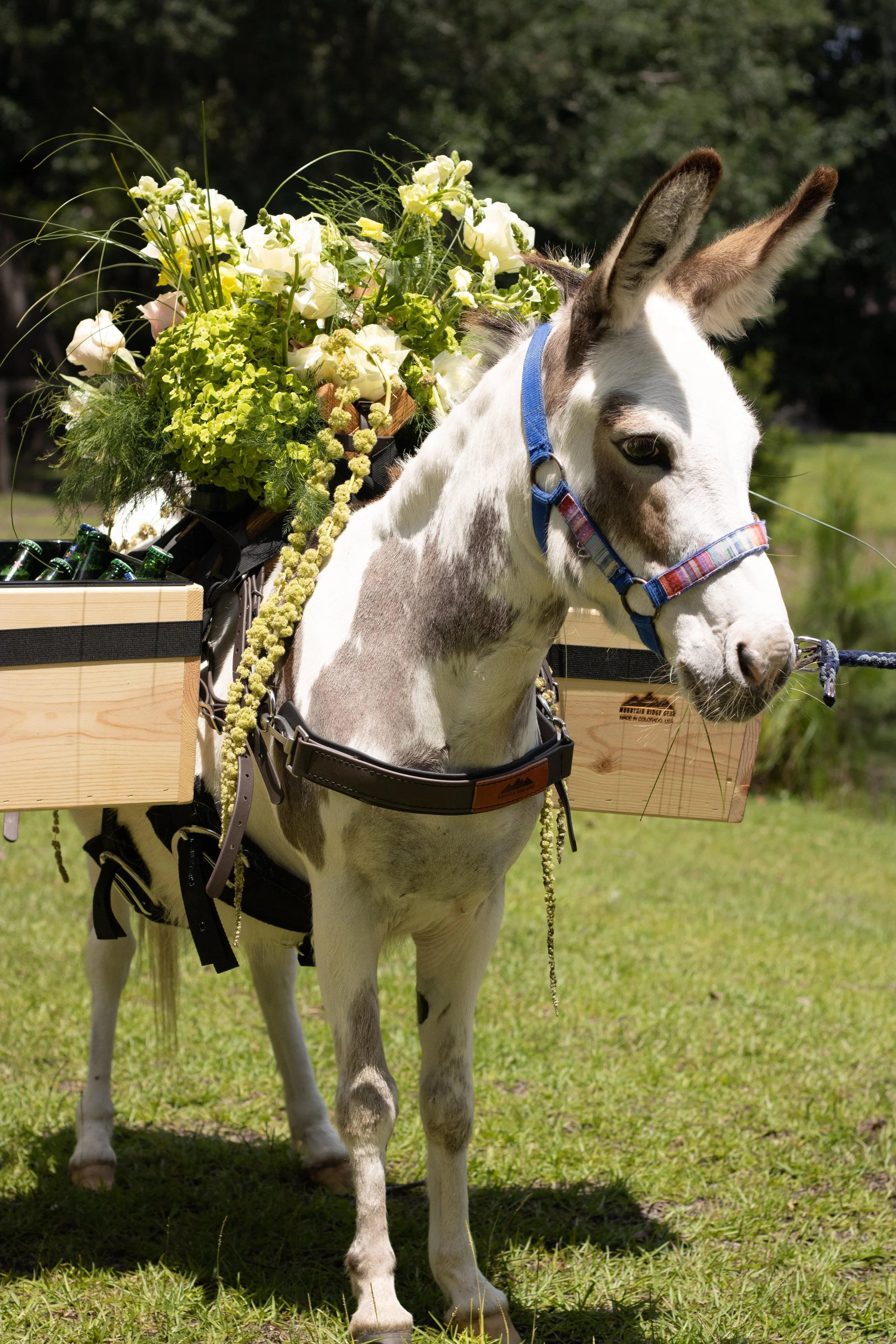 May: Why Beer Burros Are the Wedding Guest Everyone Remembers