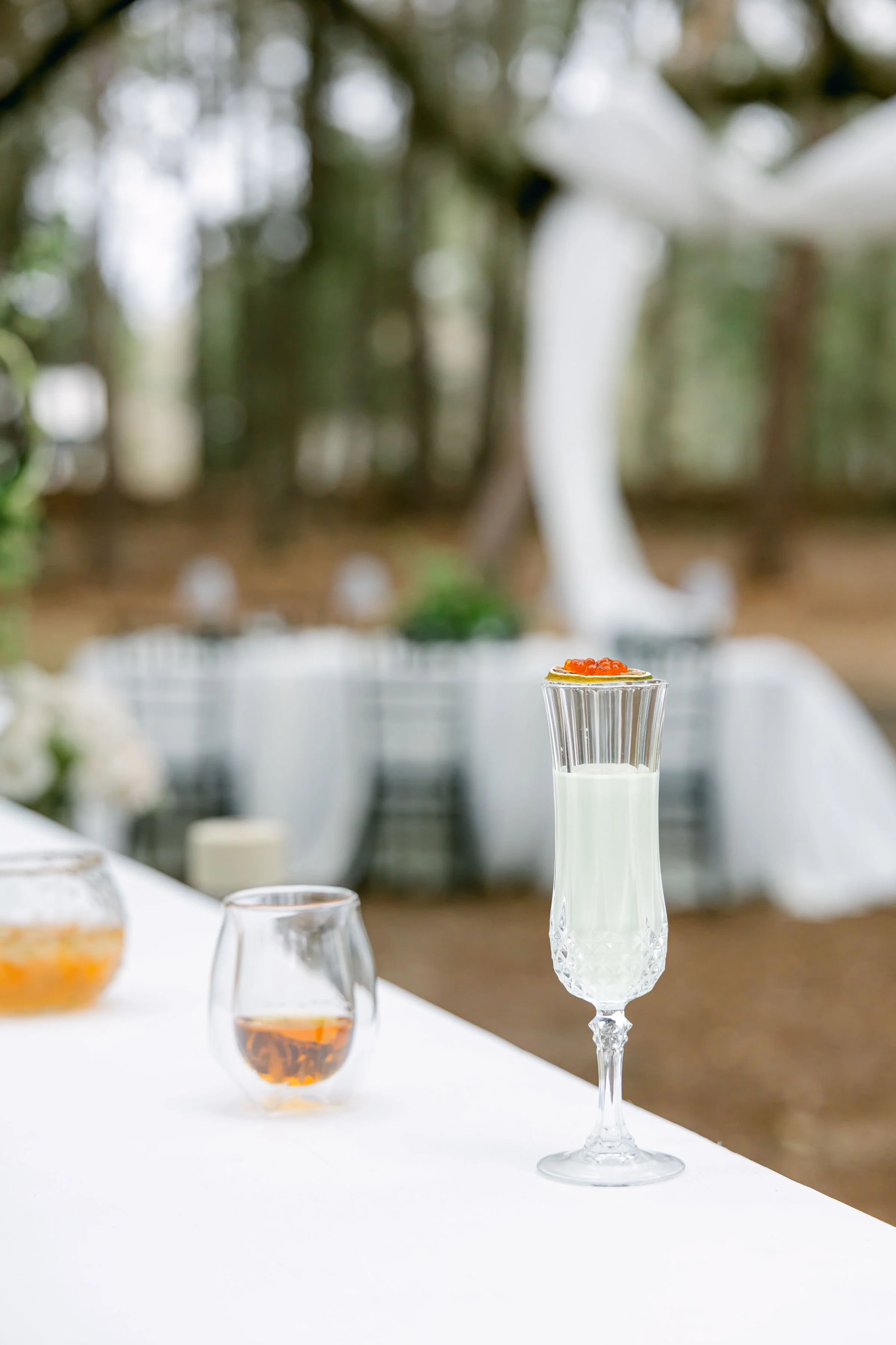 Photo Jan 30 2025, 12 01 26 PM.jpg