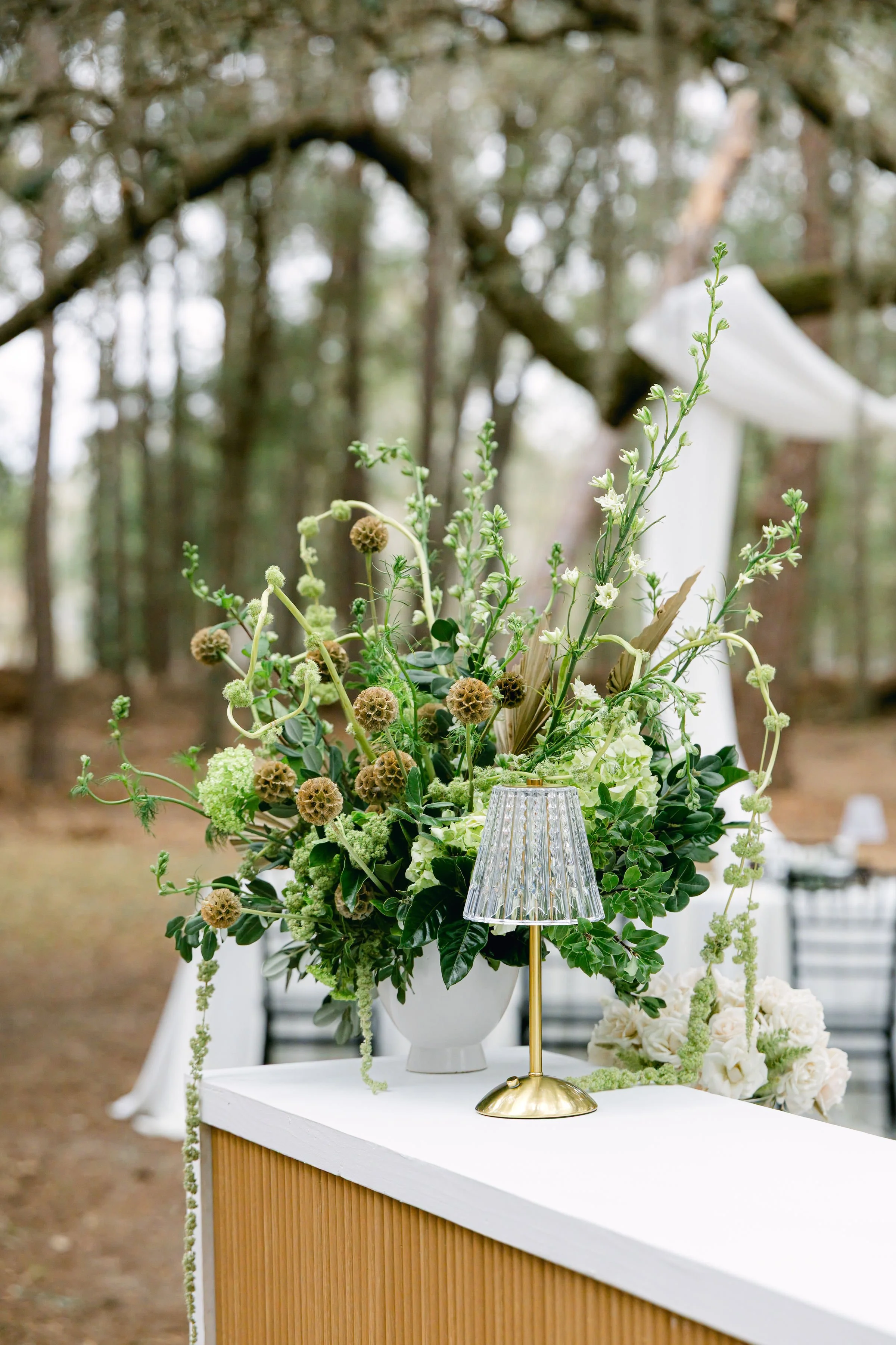 Photo Jan 30 2025, 12 02 40 PM.jpg