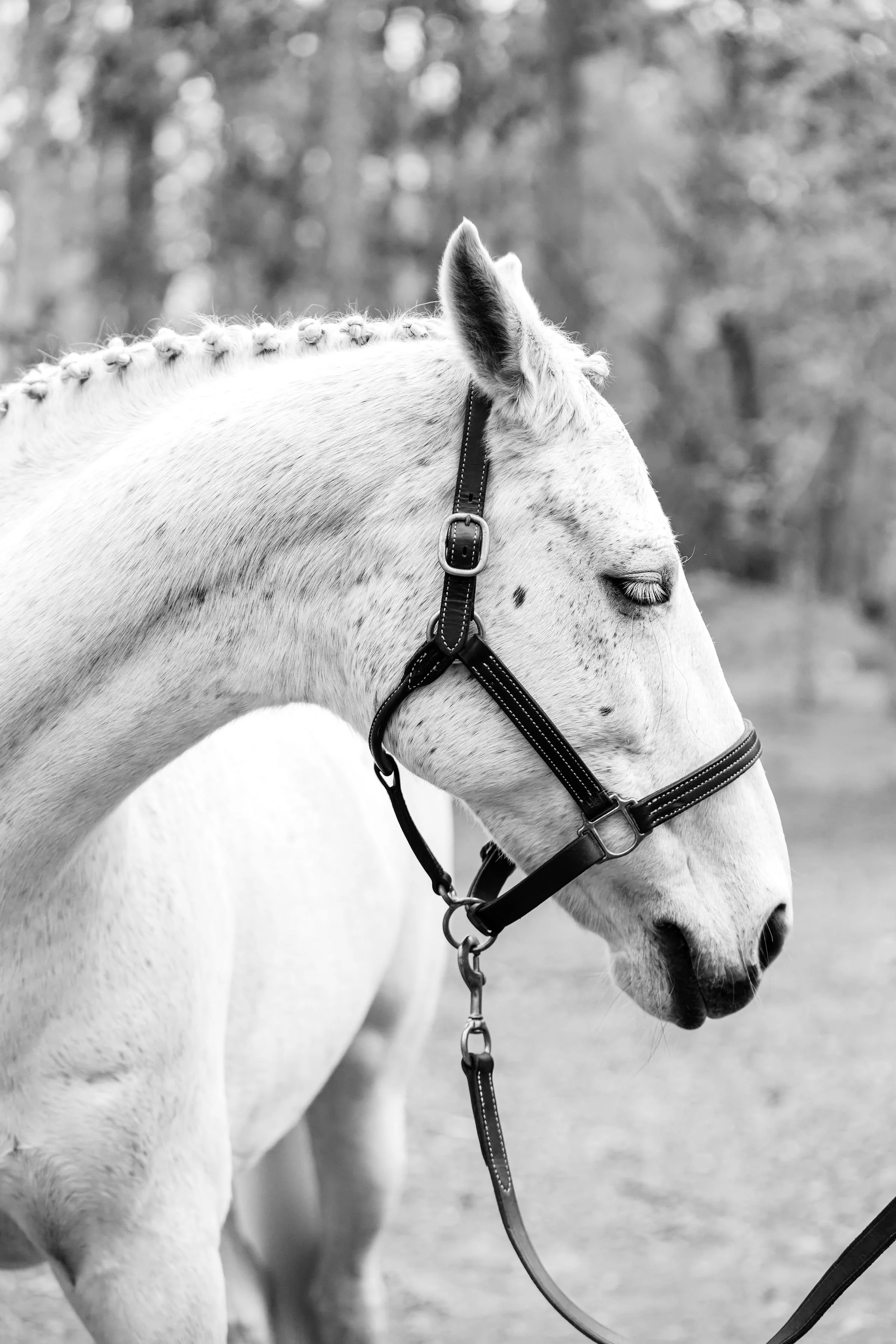 Photo Jan 30 2025, 12 43 18 PM (1).jpg