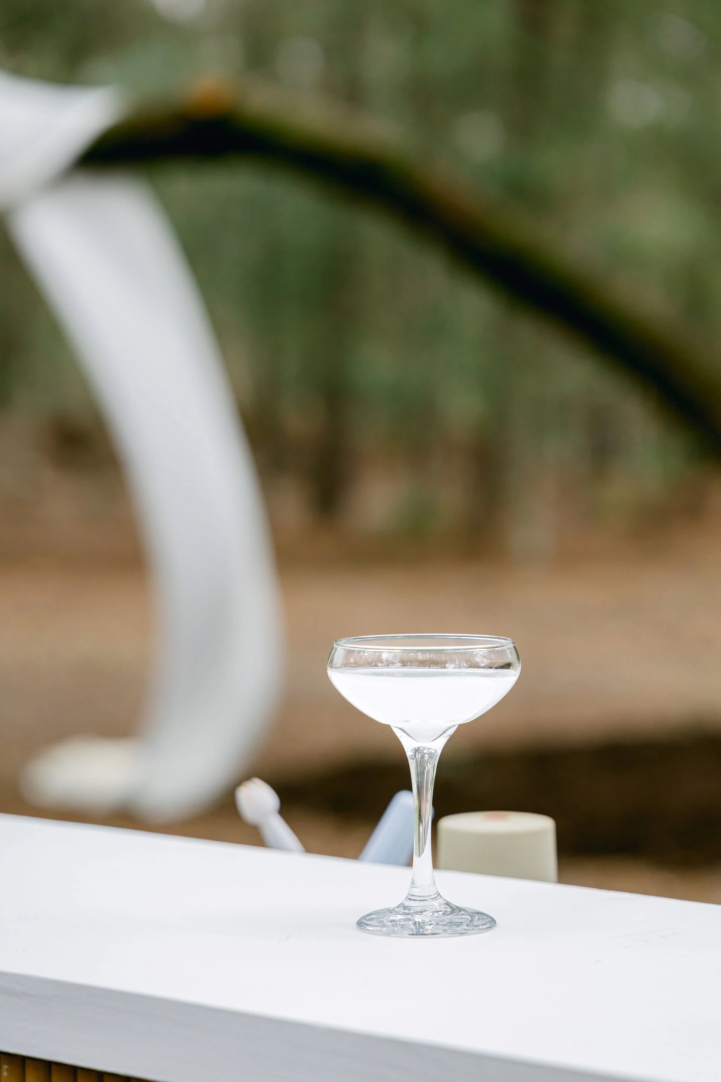 Photo Jan 30 2025, 12 00 39 PM.jpg