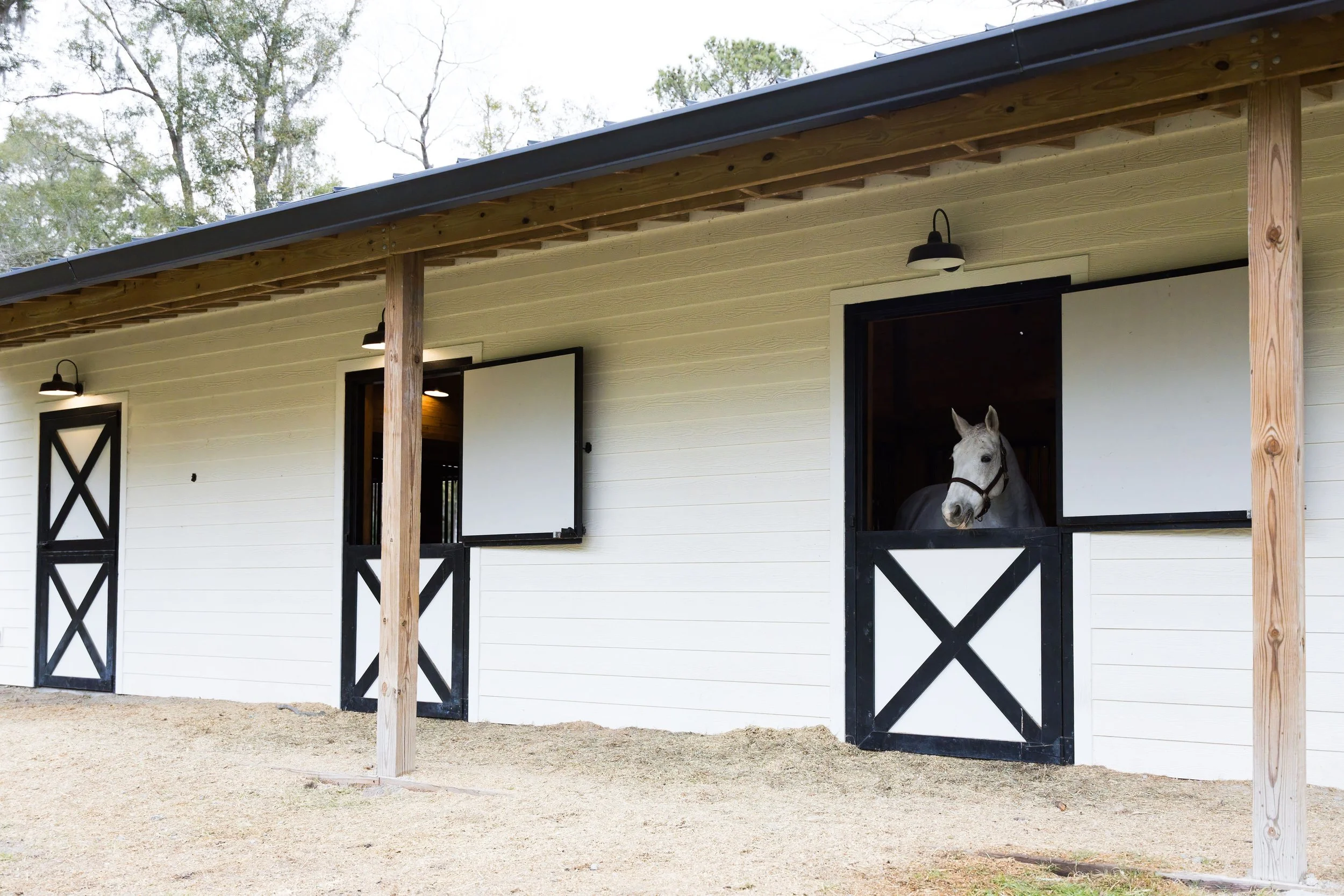 Photo Jan 30 2025, 10 19 50 AM.jpg