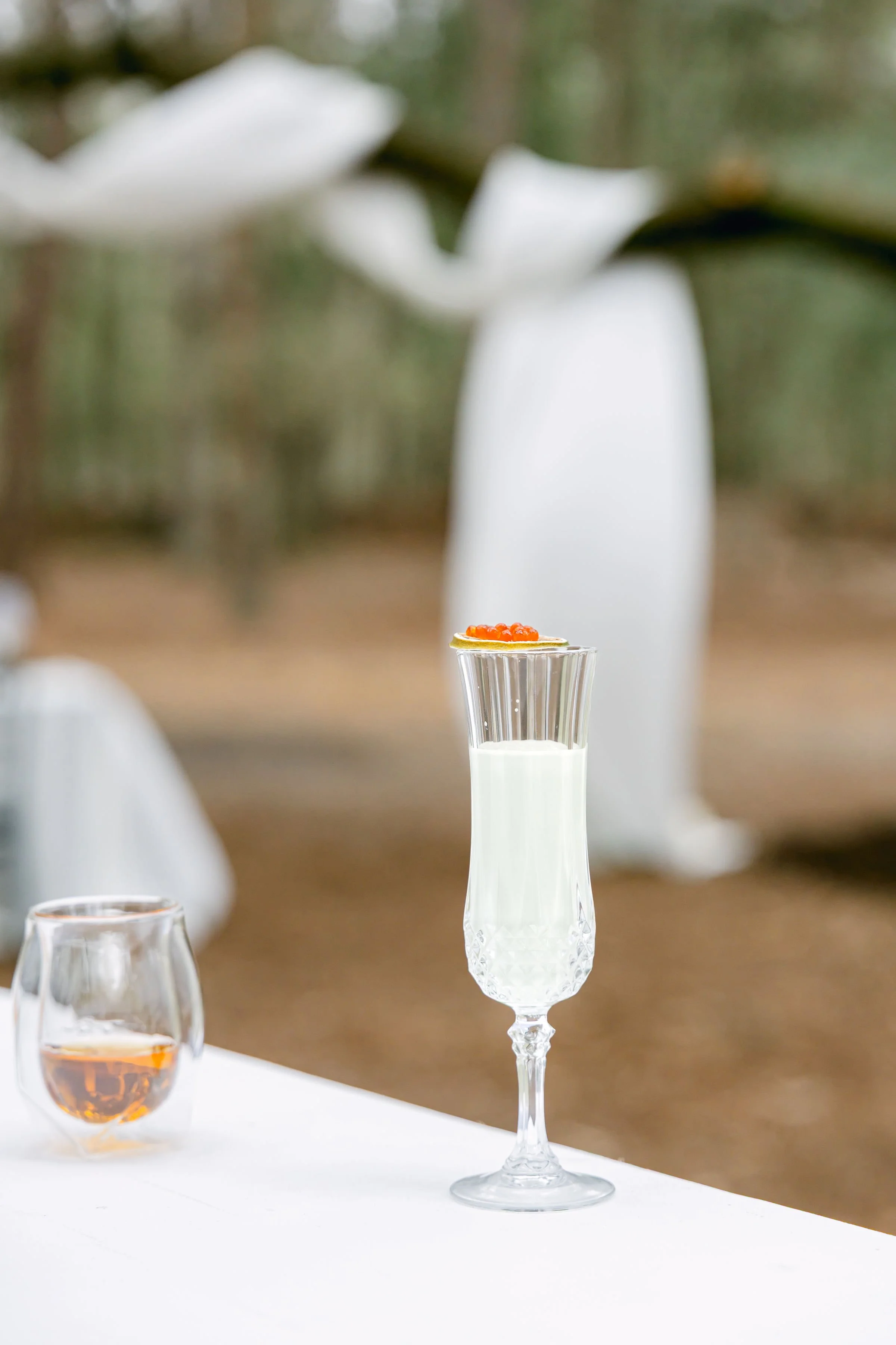 Photo Jan 30 2025, 12 01 21 PM.jpg