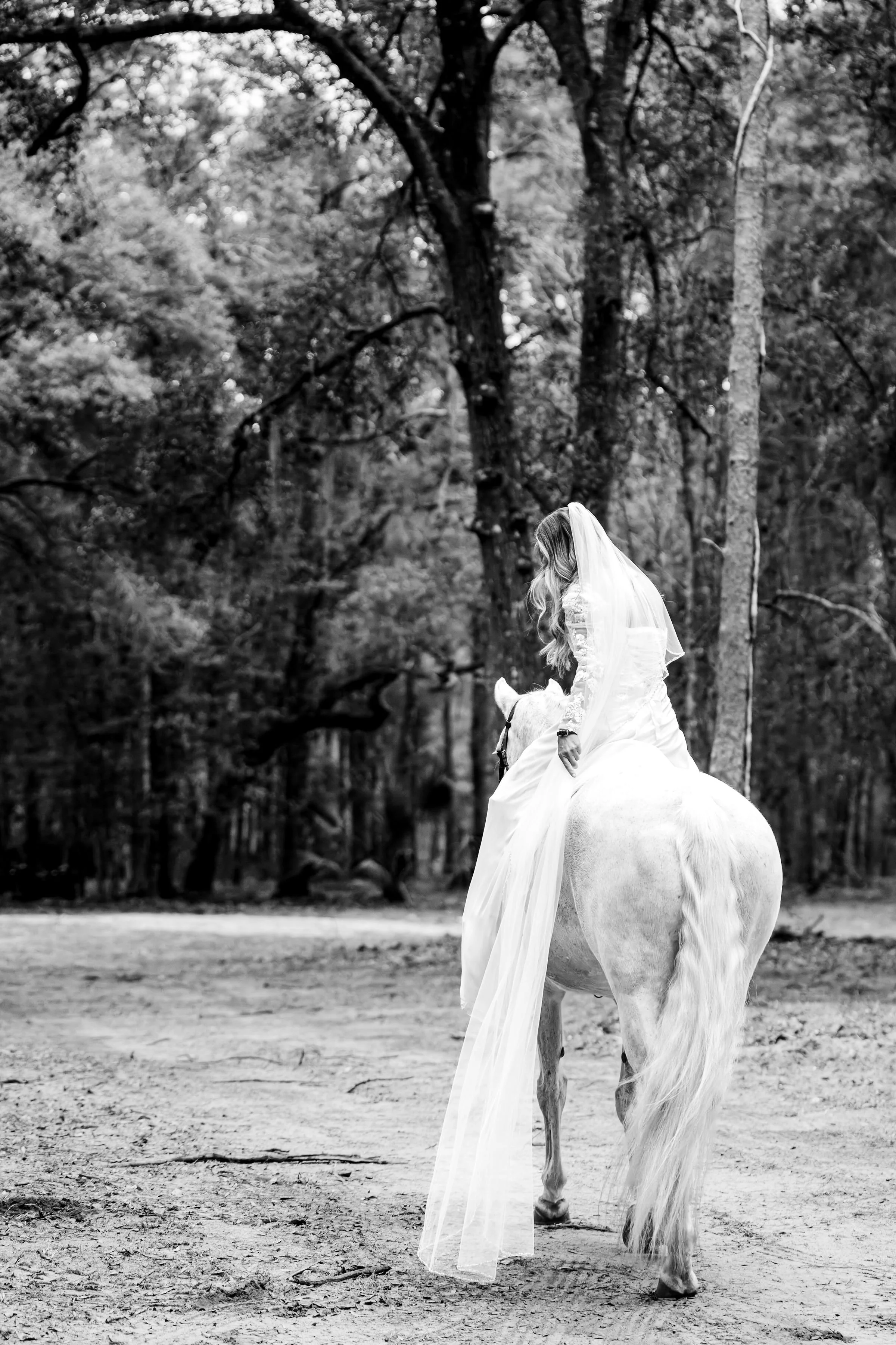 Photo Jan 30 2025, 1 26 44 PM.jpg