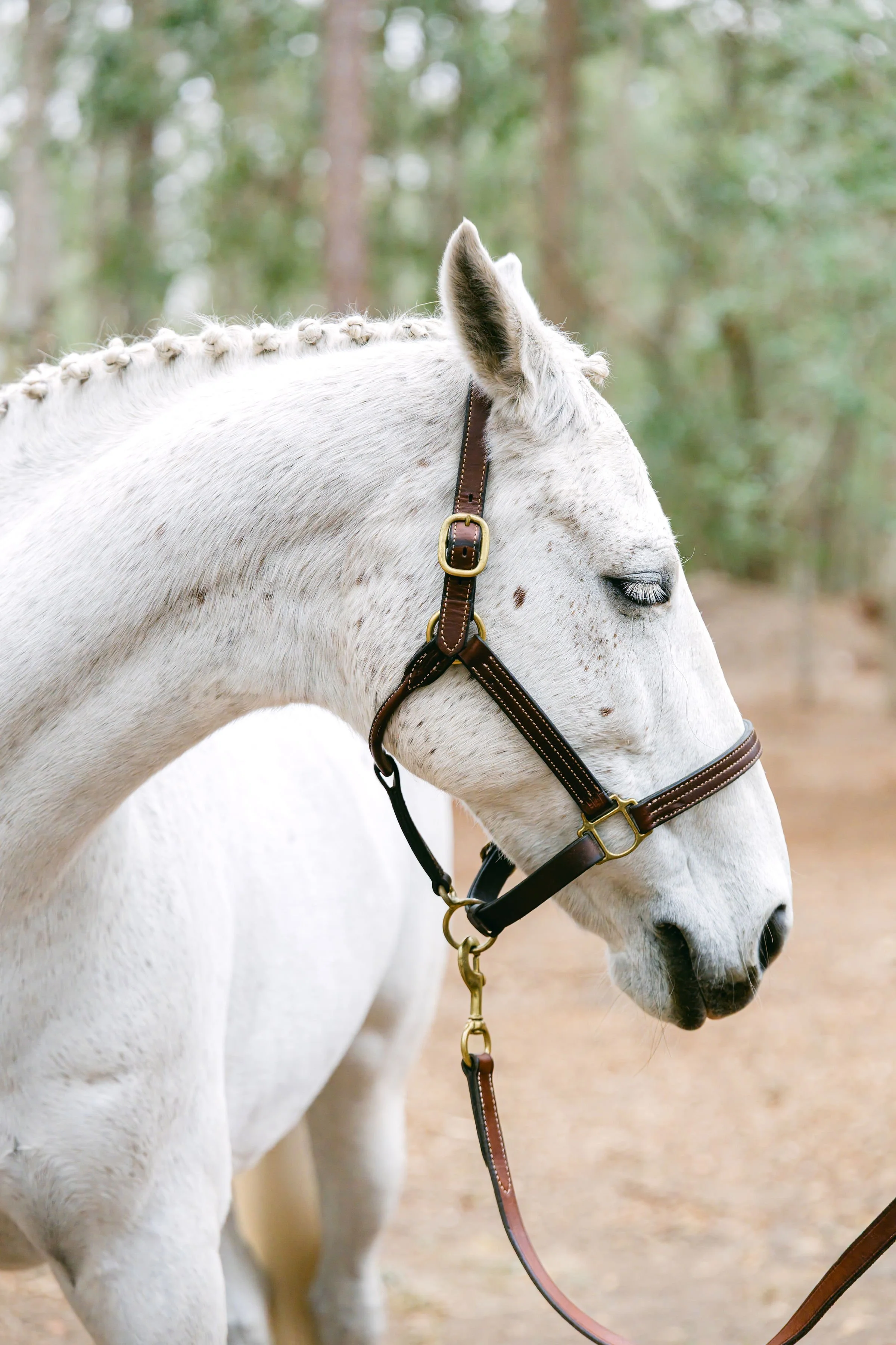 Photo Jan 30 2025, 12 43 18 PM.jpg