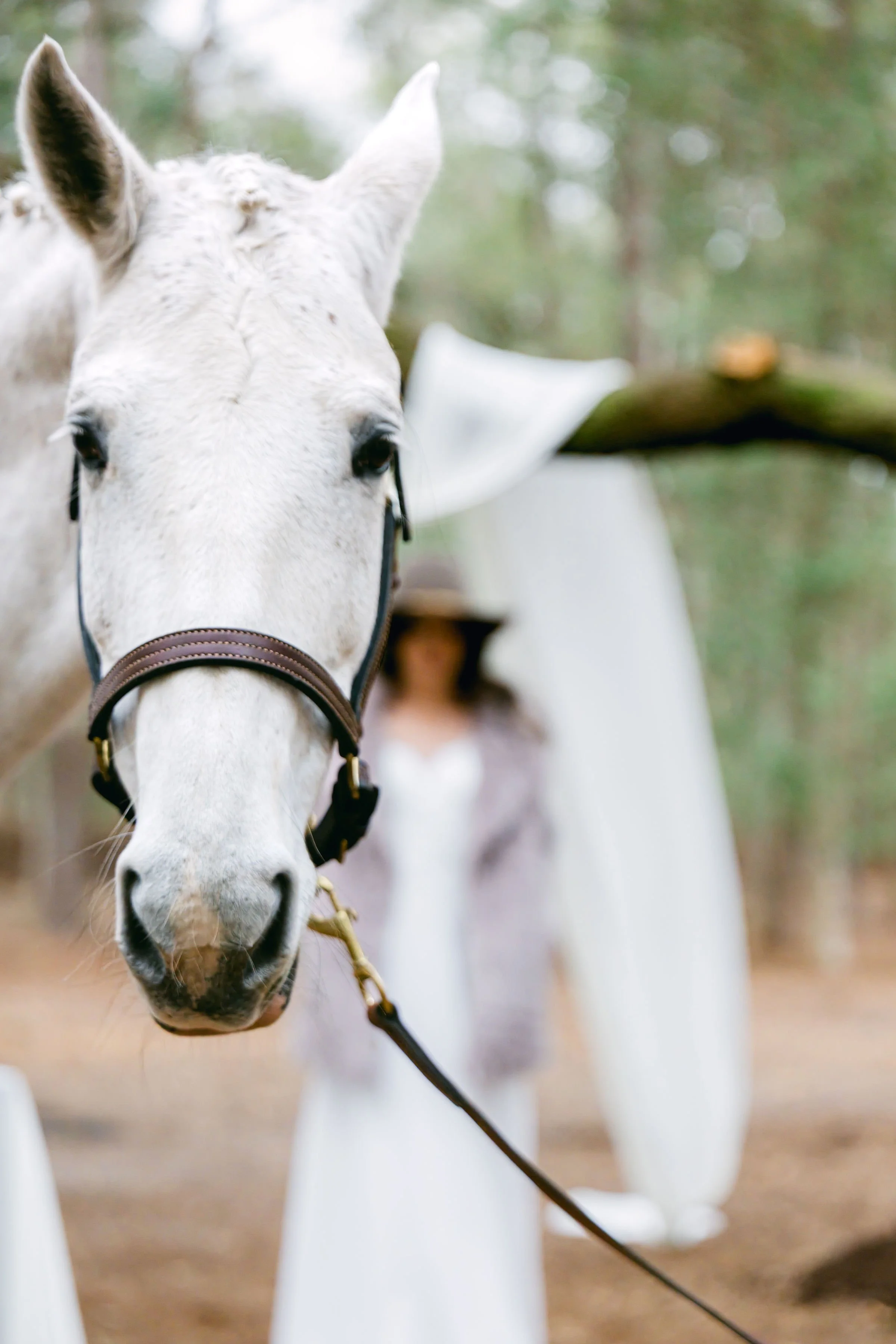 Photo Jan 30 2025, 1 03 14 PM (1).jpg