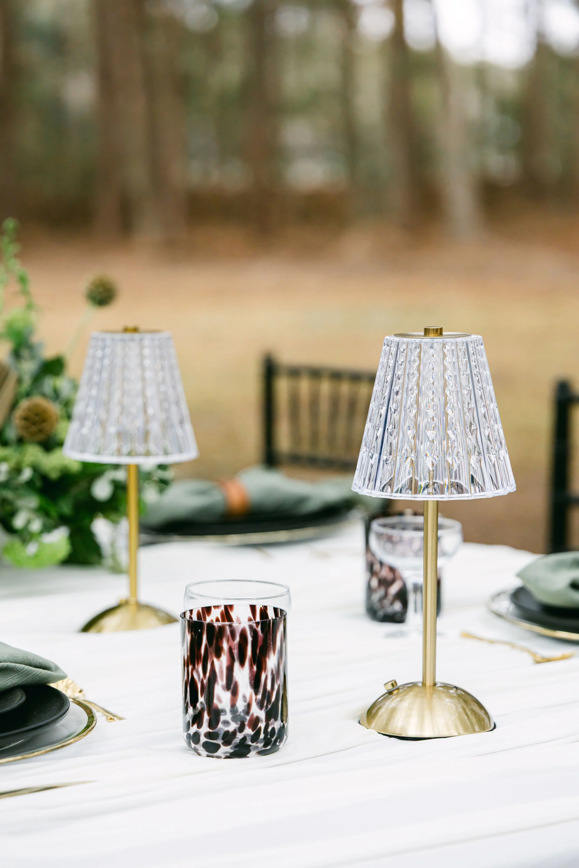 Photo Jan 30 2025, 12 20 59 PM.jpg