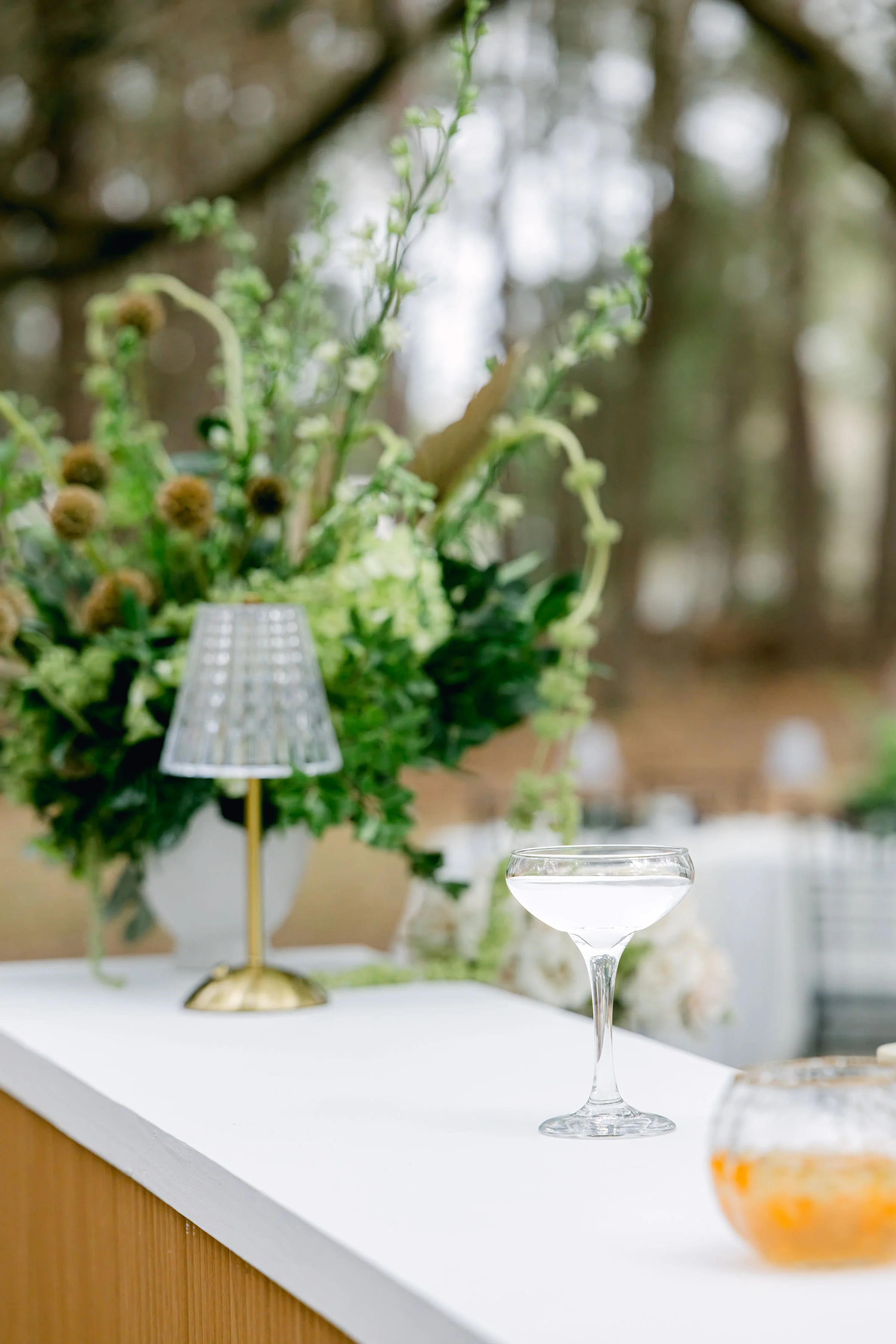 Photo Jan 30 2025, 12 00 57 PM.jpg