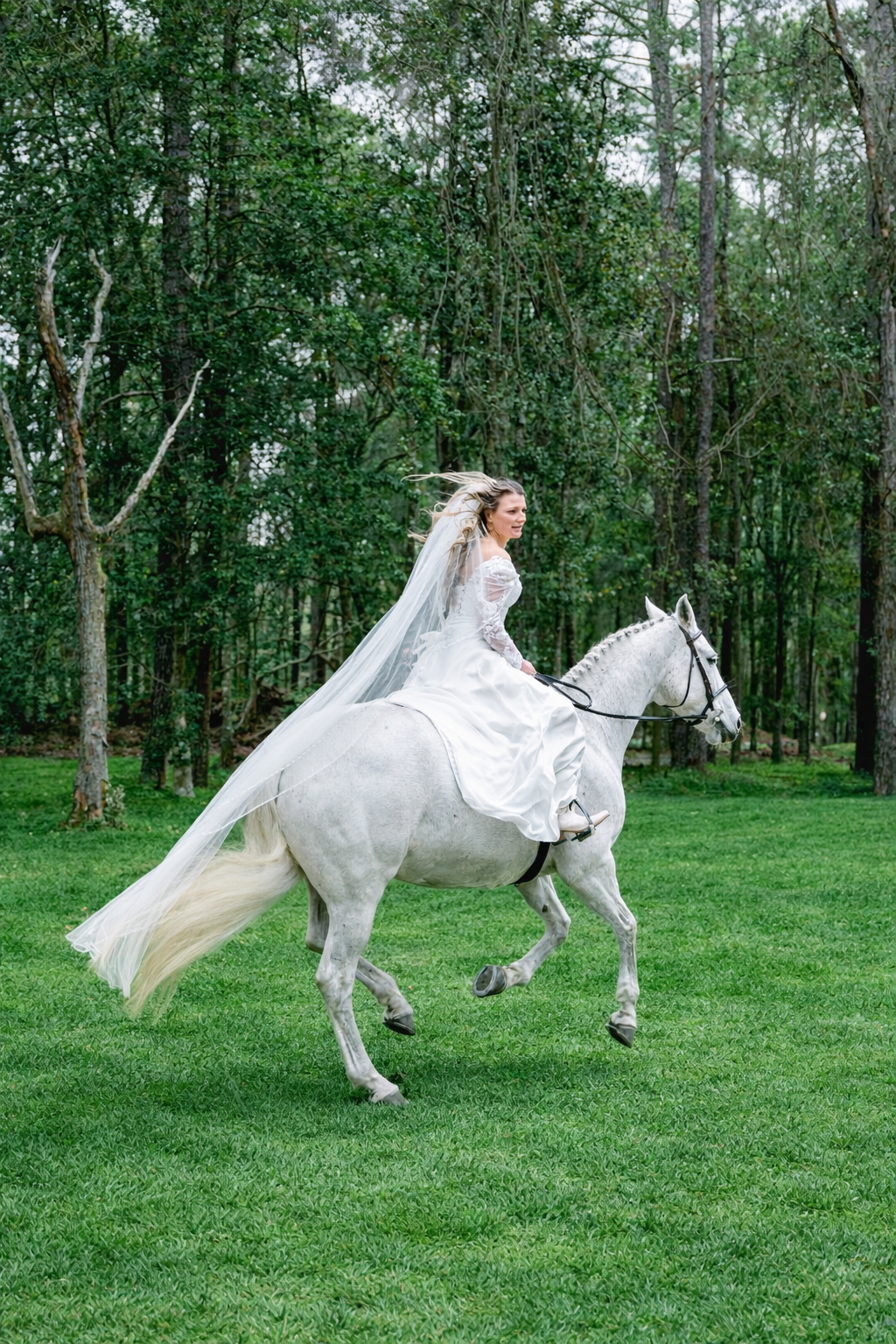 Photo Mar 01 2026, 9 12 09 AM (1) (2).png