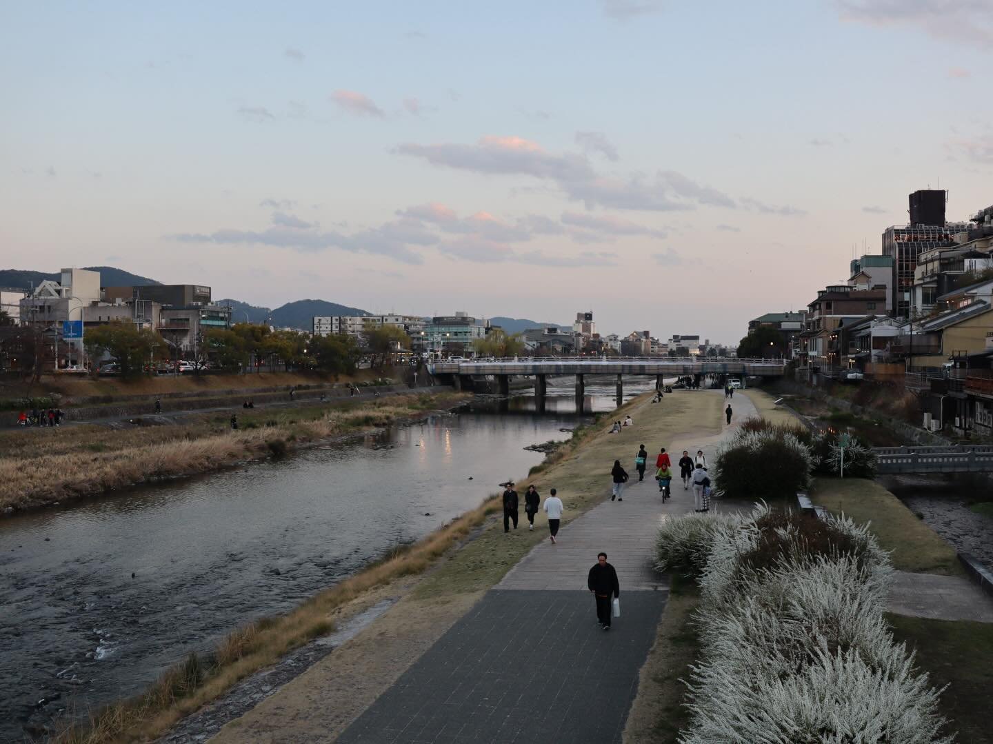 Kyoto, March 2026. Sunny skies, running to the Goshuin line at temples; sick + jet lag made it feel like a dream