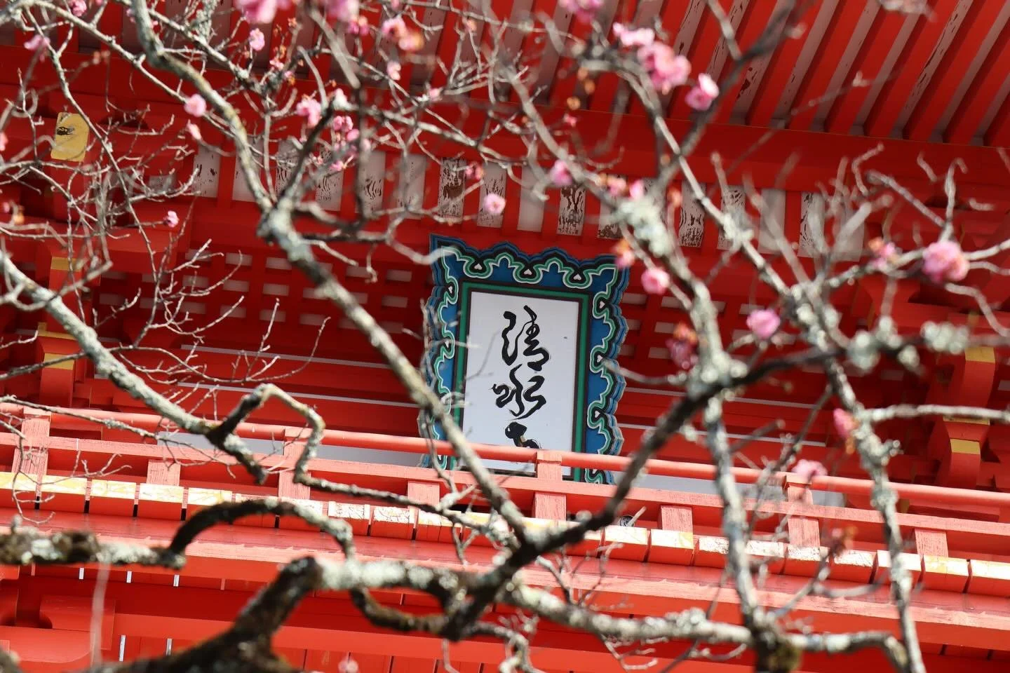 Sometimes, I look at a photo and say, nah I'll skip the editing. These are sone of those instances. Kyoto, Japan. 
1-2. Signs on temples
3. By the Kamo river