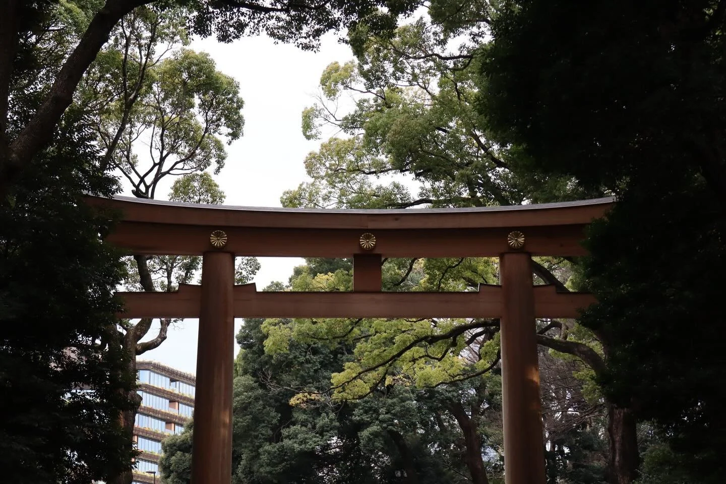 Shrines and Temples in Tokyo
1-3. Meiji Jingu Shrine
4-5. Sengakuji Temple
6-7. Takanawa Shrine