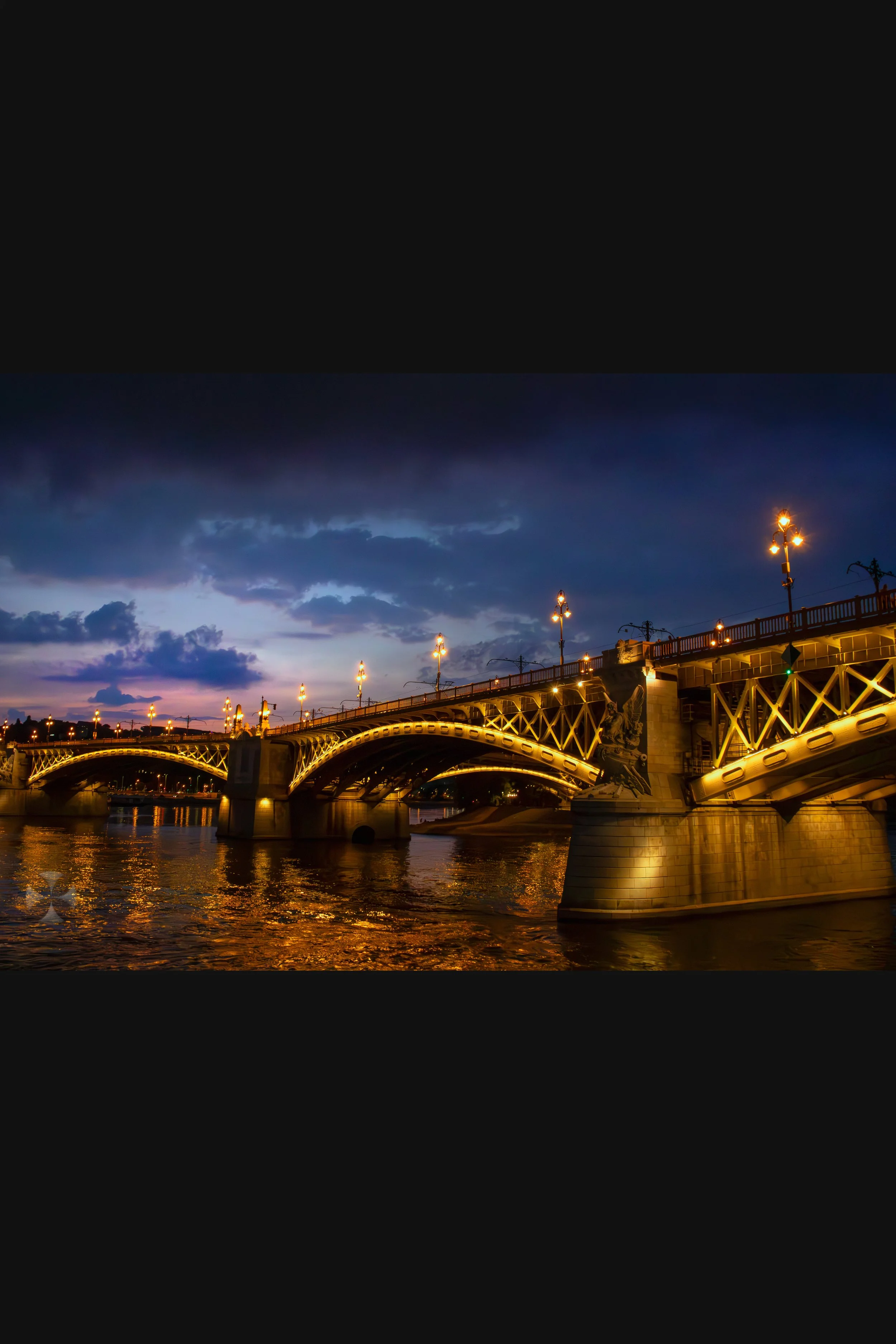 Gold Symbiosis - 2024Europa