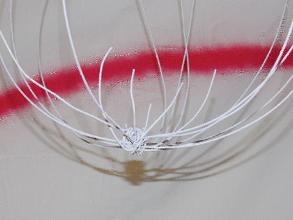 Close-up of a metal wire whisk with a red painted line in the background.