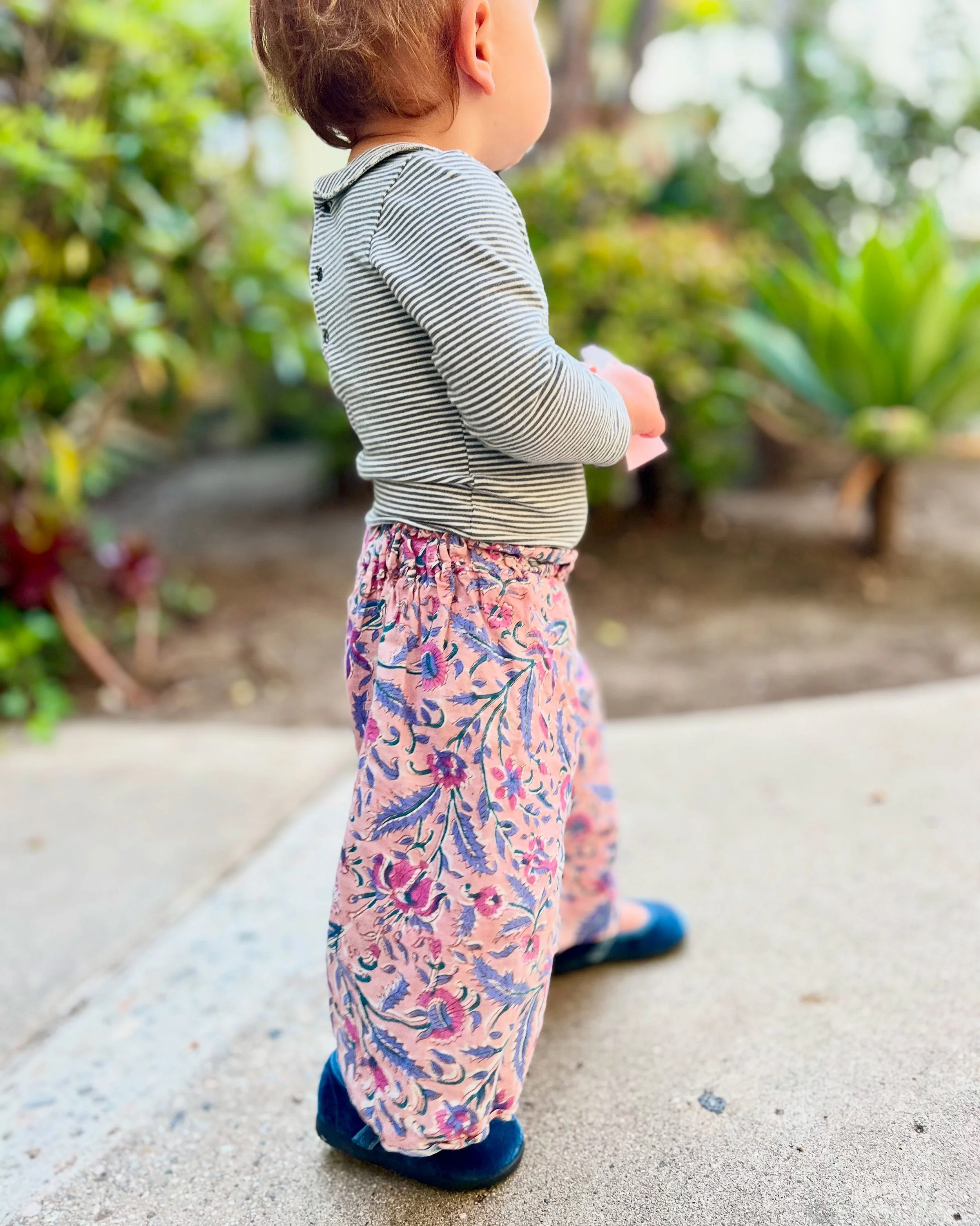 MAUVE PANTS