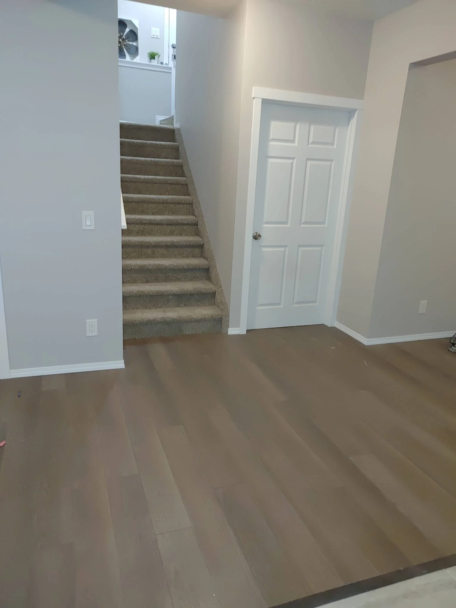 Interior view of a room showing a staircase with carpeted steps, a white door to a closet or storage, light gray walls, wood flooring, and a small section of the upper landing with a window, plants, and a ceiling fan.