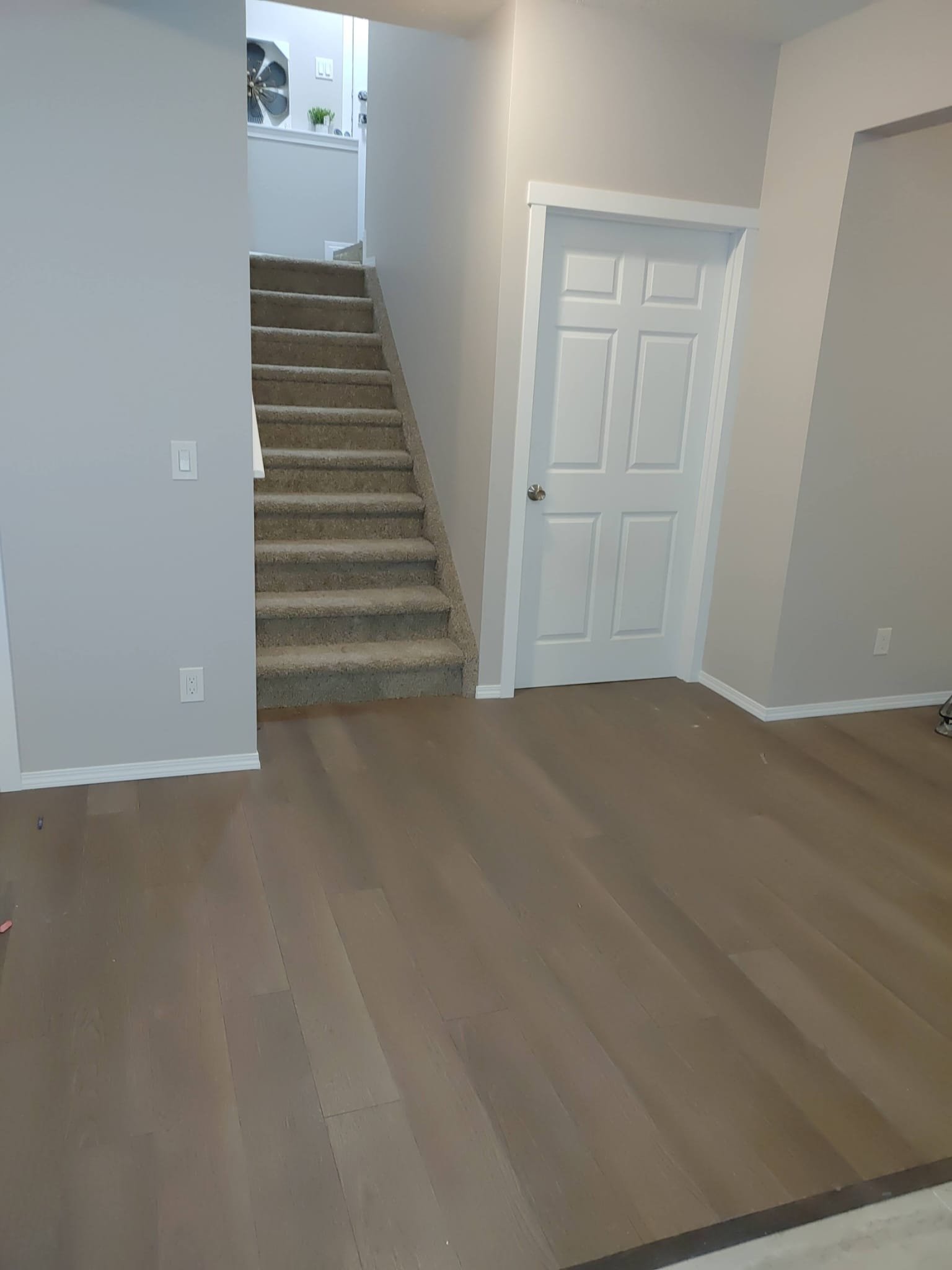 Interior view of a house showing a staircase with carpeted steps, a closed white door, and light gray walls with white trim. Part of hardwood flooring is visible in the foreground.