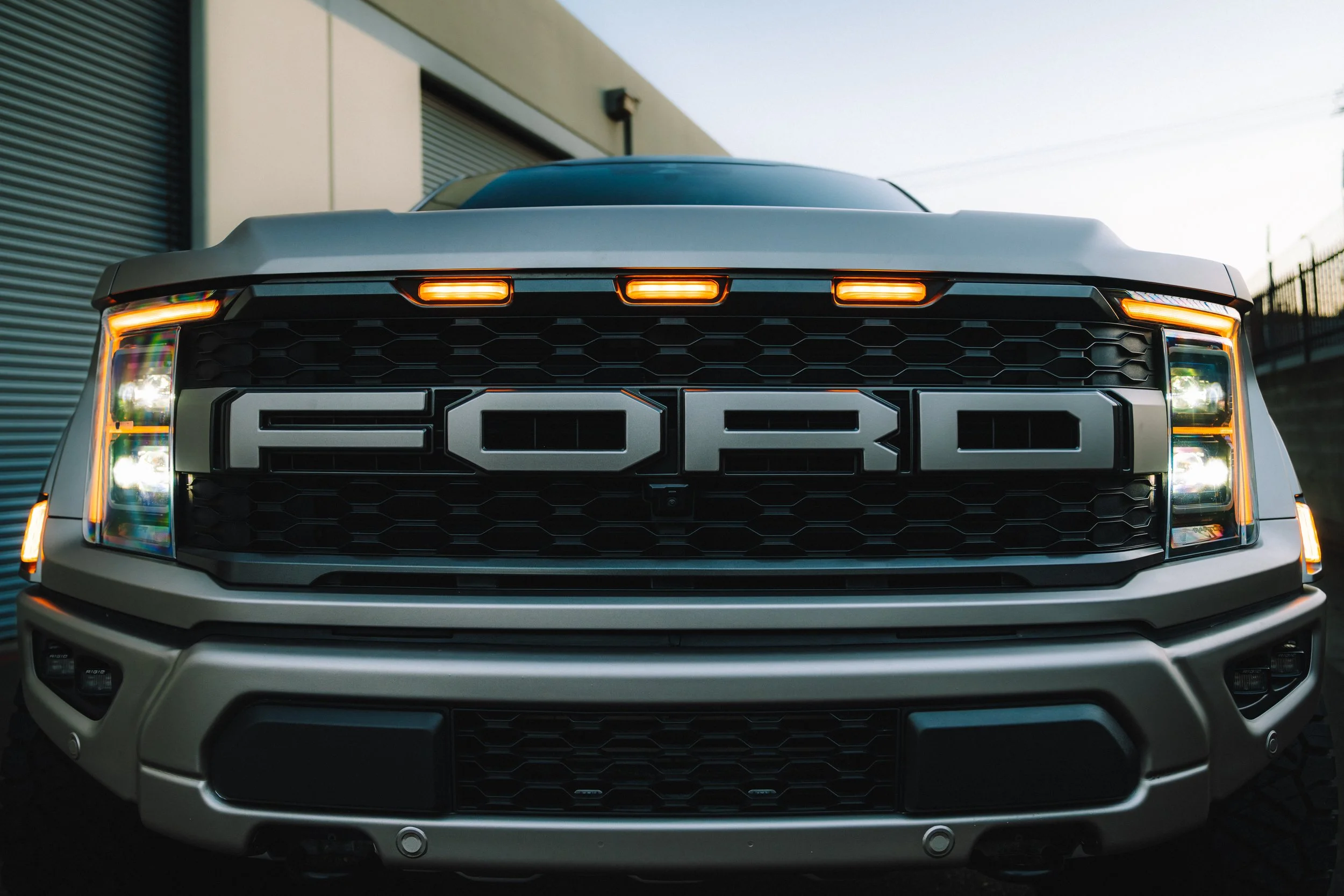 20251028 Raptor-01.jpg