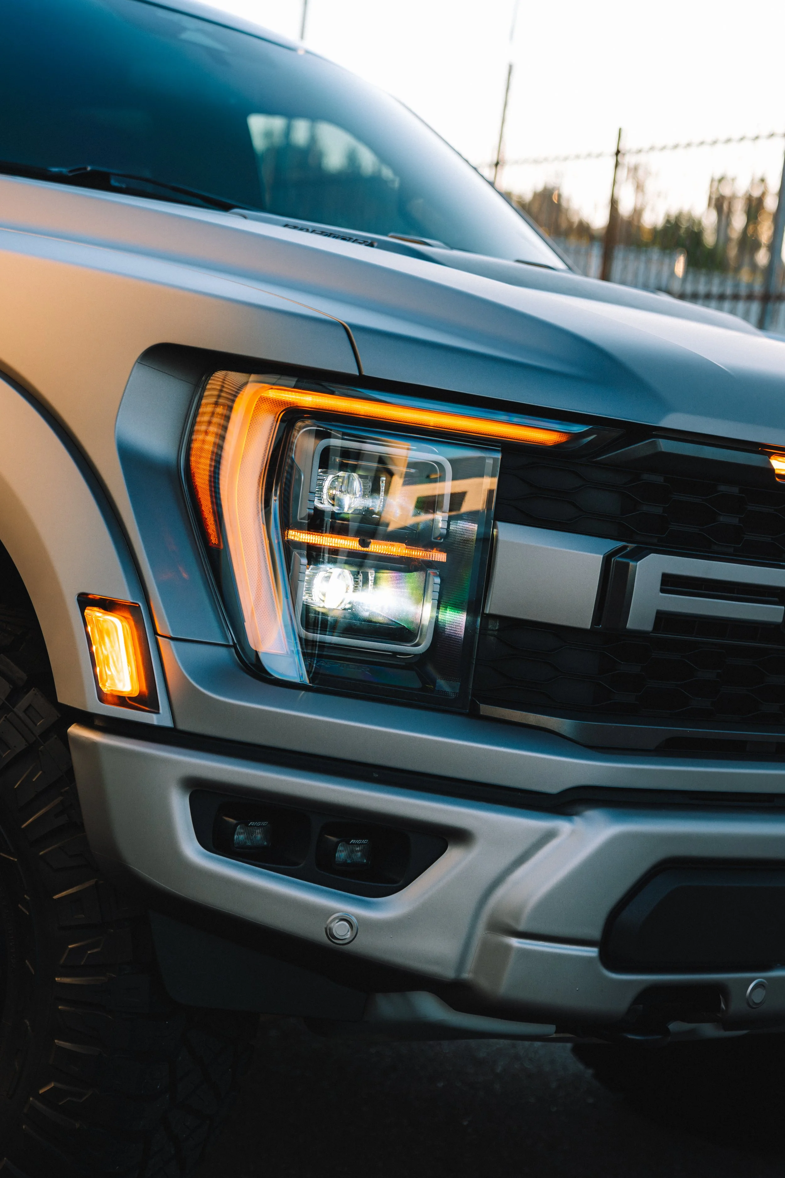 20251028 Raptor-08.jpg