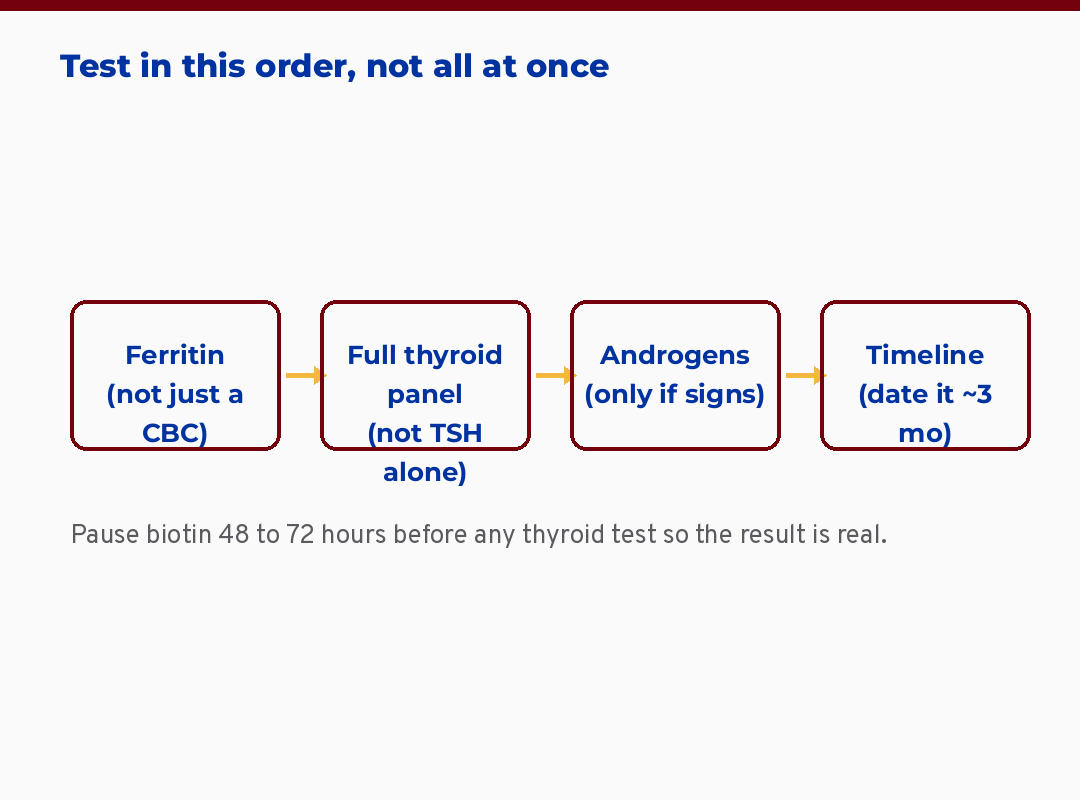 Four-step testing-order flow: ferritin, full thyroid panel, androgens if signs, then timeline
