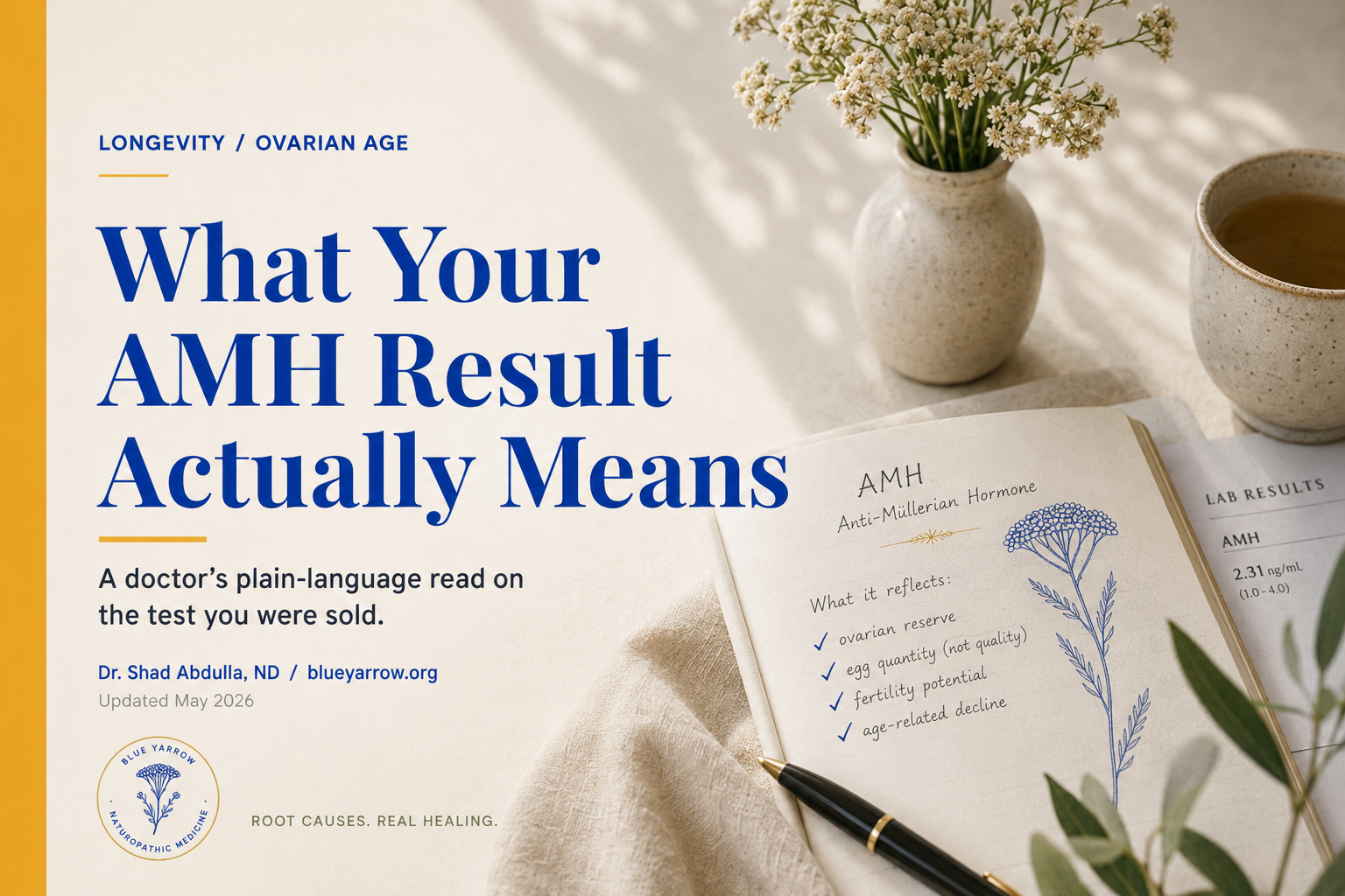 What Your AMH Result Actually Means (Updated May 2026)