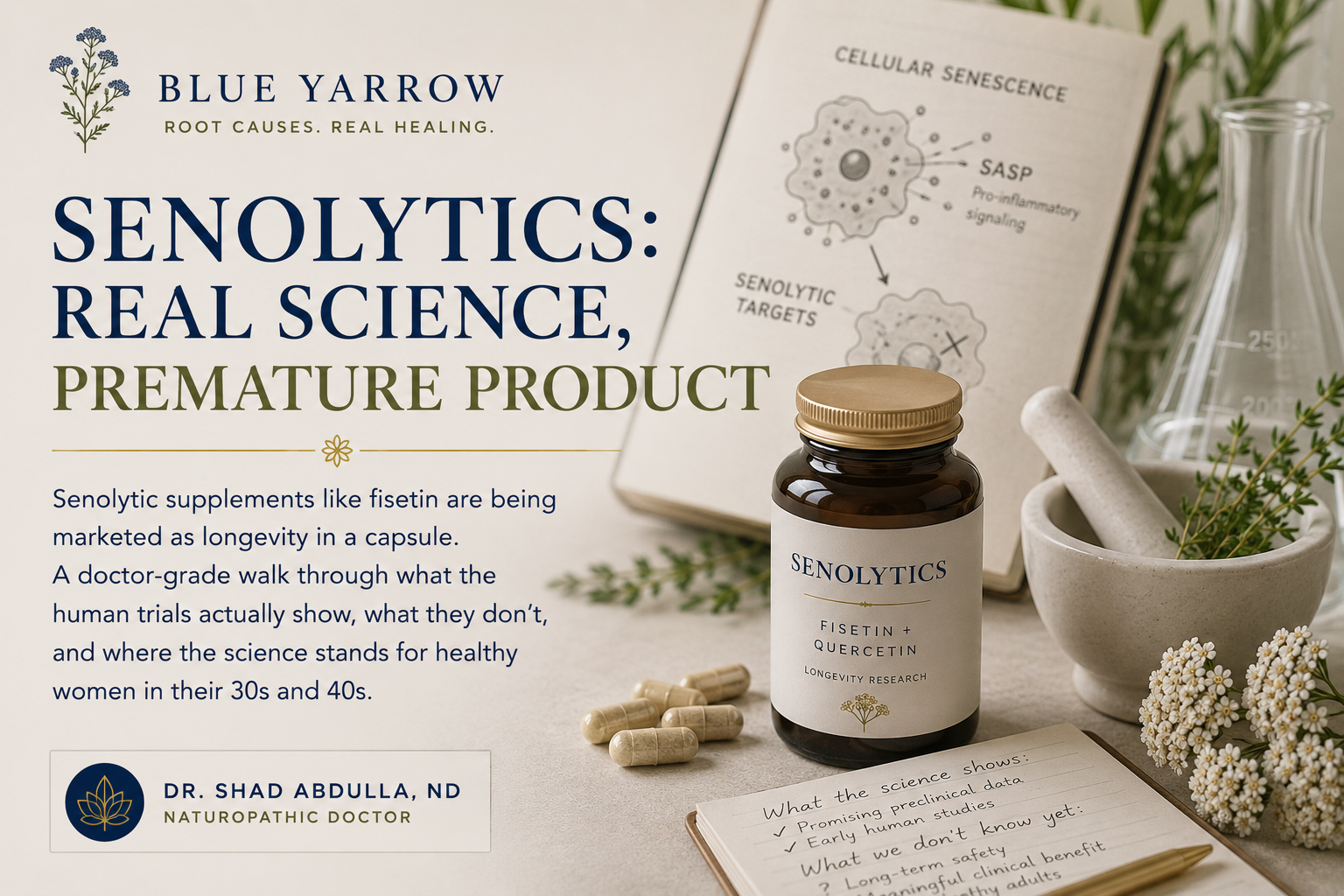 Senolytics: Real Science, Premature Product