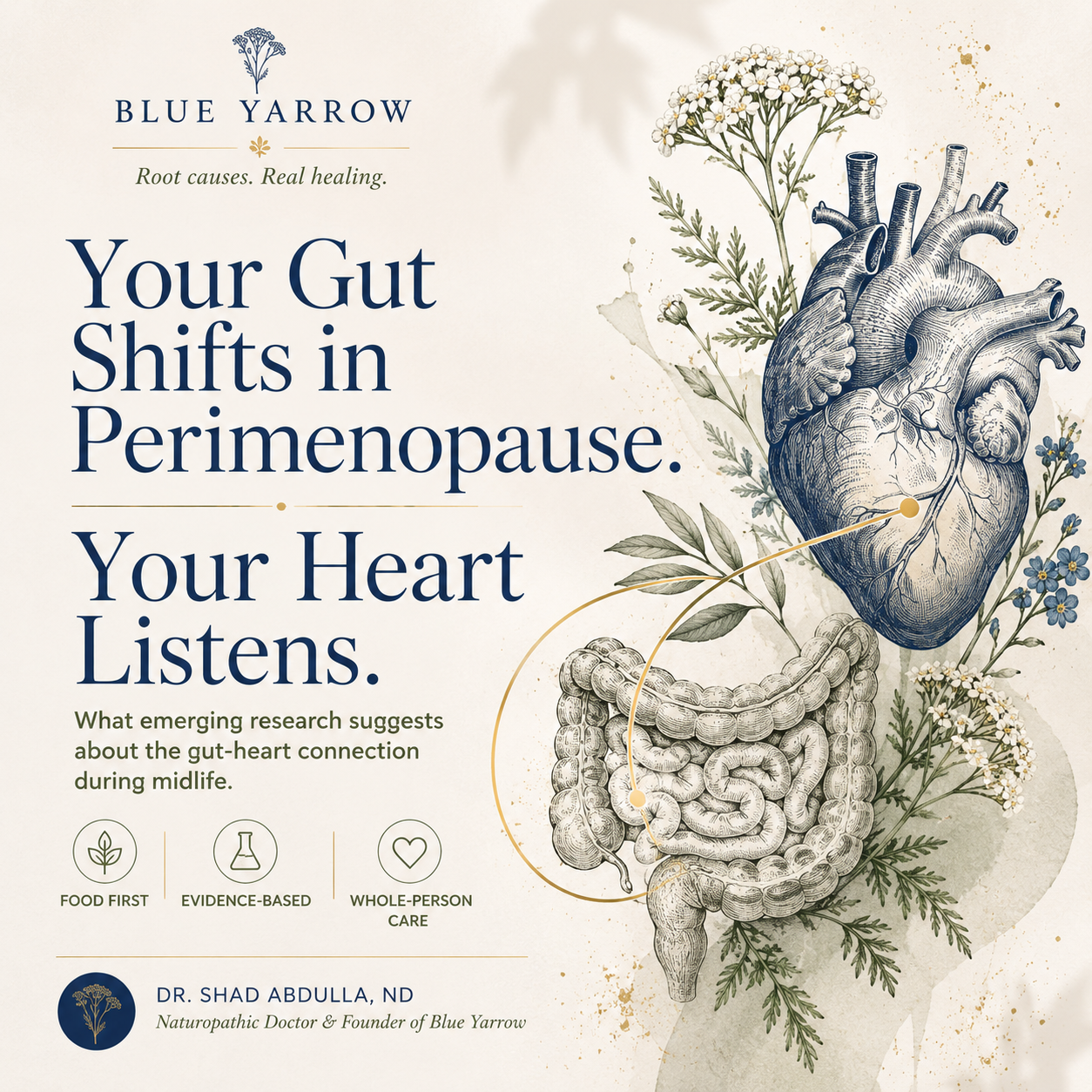 Your Gut Shifts in Perimenopause. Your Heart Listens.