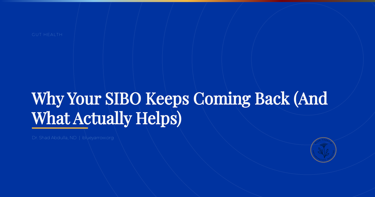 Why Your SIBO Keeps Coming Back (And What Actually Helps)