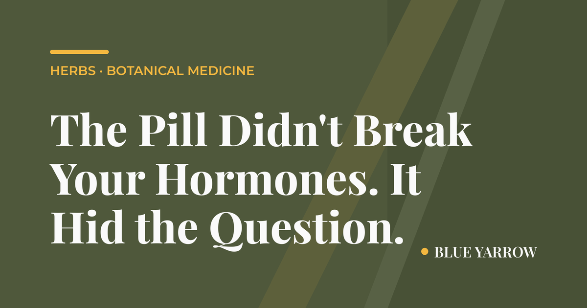 The Pill Didn’t Break Your Hormones. It Hid the Question.