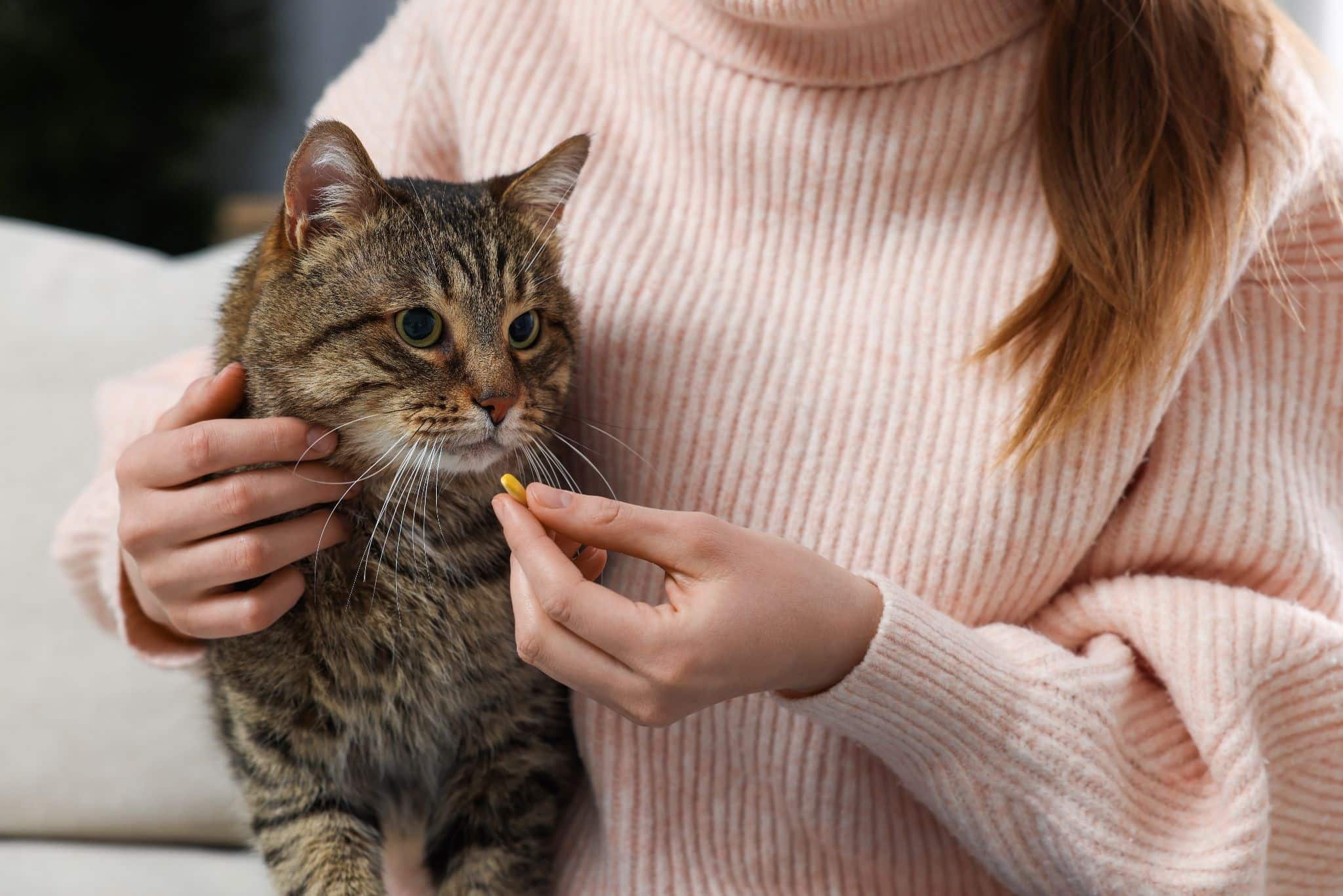 How to Give Cats Pills: A Guide for Stress-Free Medication