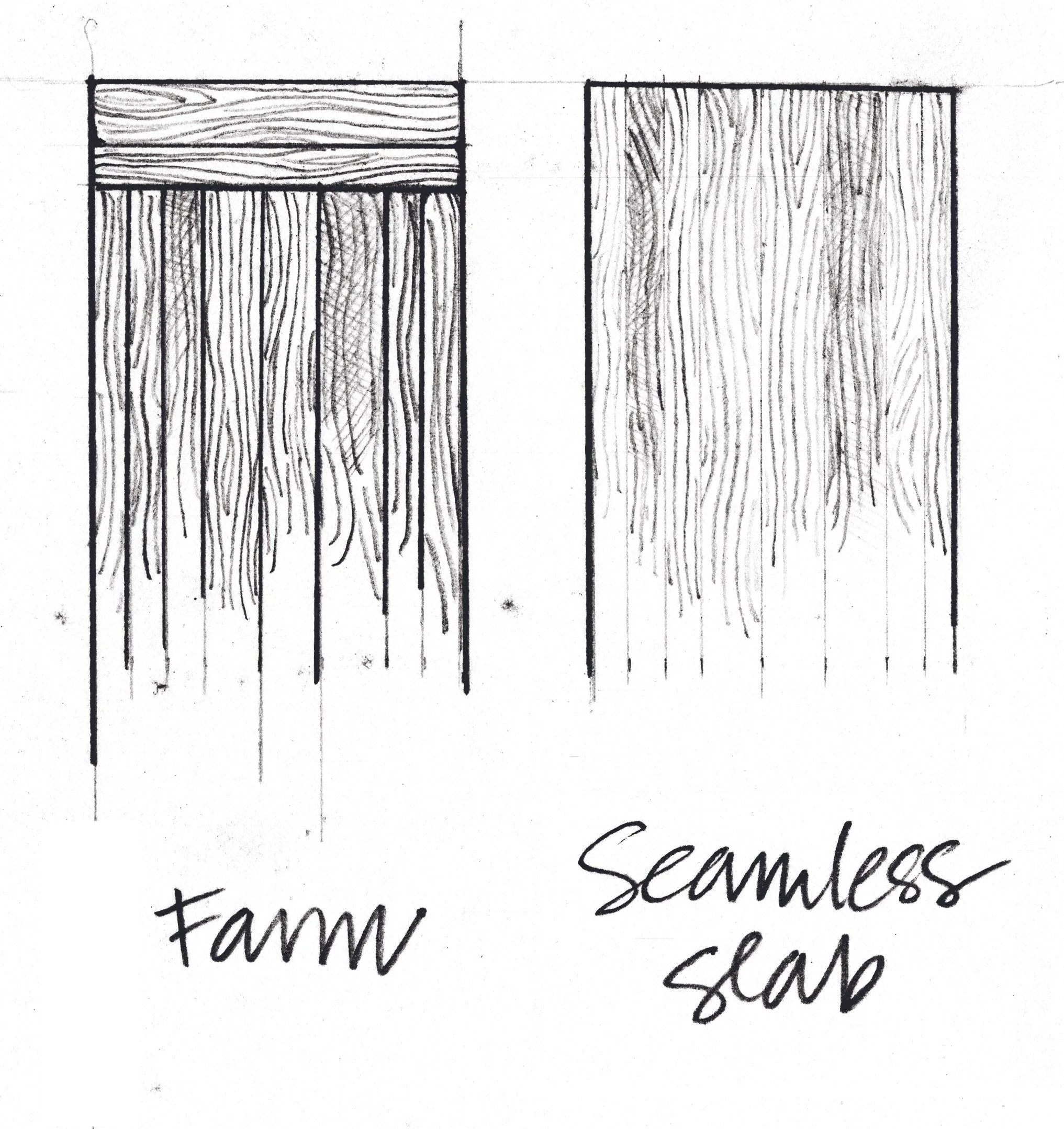 Comparison drawing of a farmed scallop with a scallop that is scsamless.